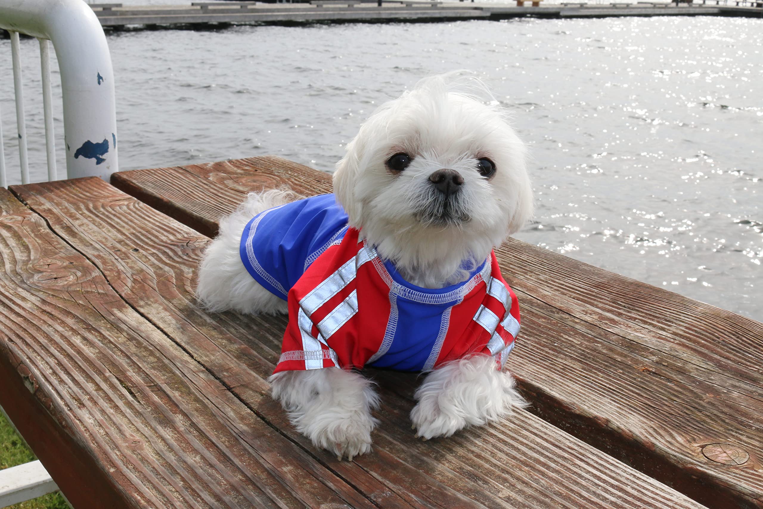 Louie de Coton Sun Shirt for Dogs & Cats | Size: 3XL | UV Protection Cooling T-Shirt for Pets | UPF50+ Max Protection from Sunbu