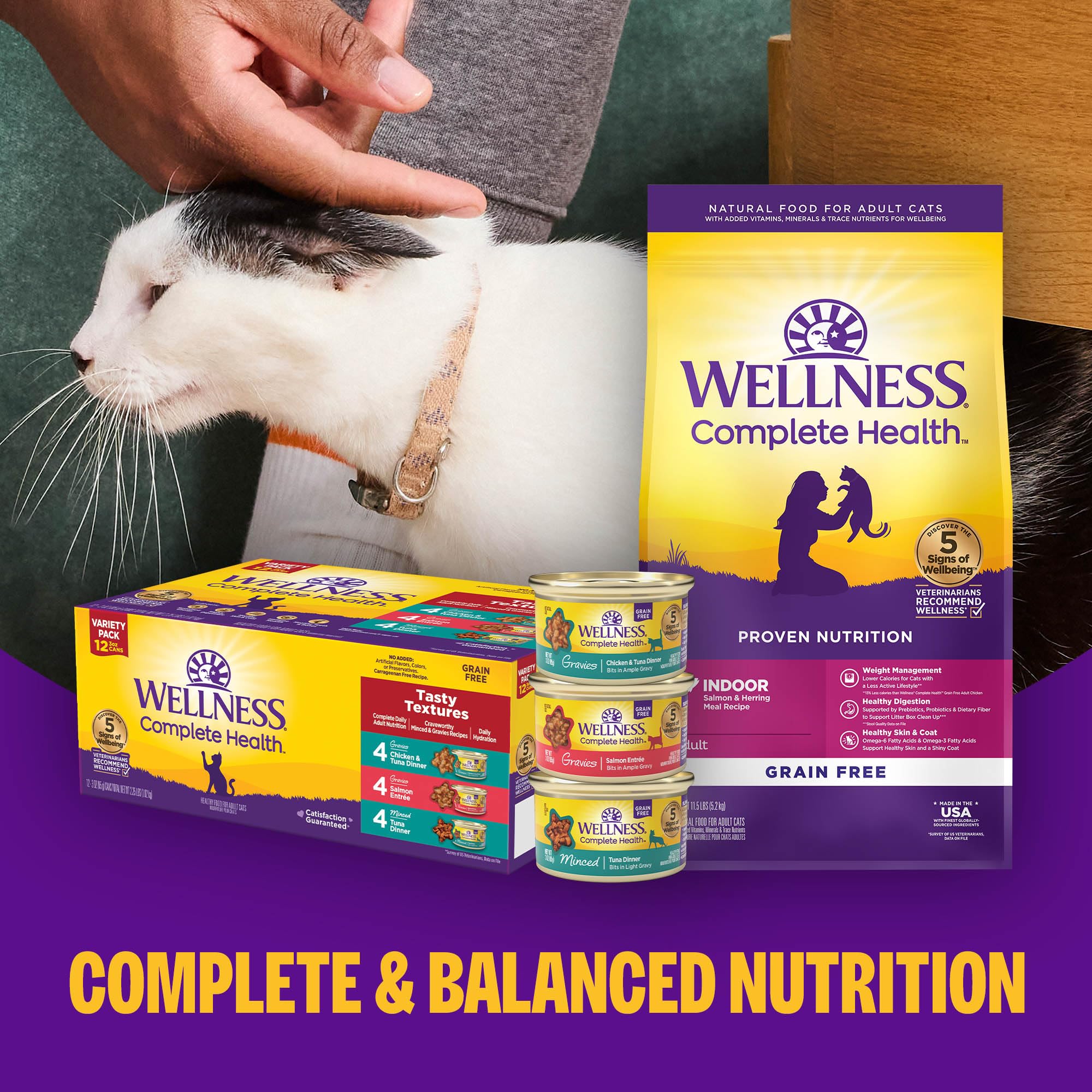 Wellness Complete Health Grain-Free Wet Canned Cat Food, Natural Ingredients, Made with Real Meat, All Breeds, Smooth Pate (Turk