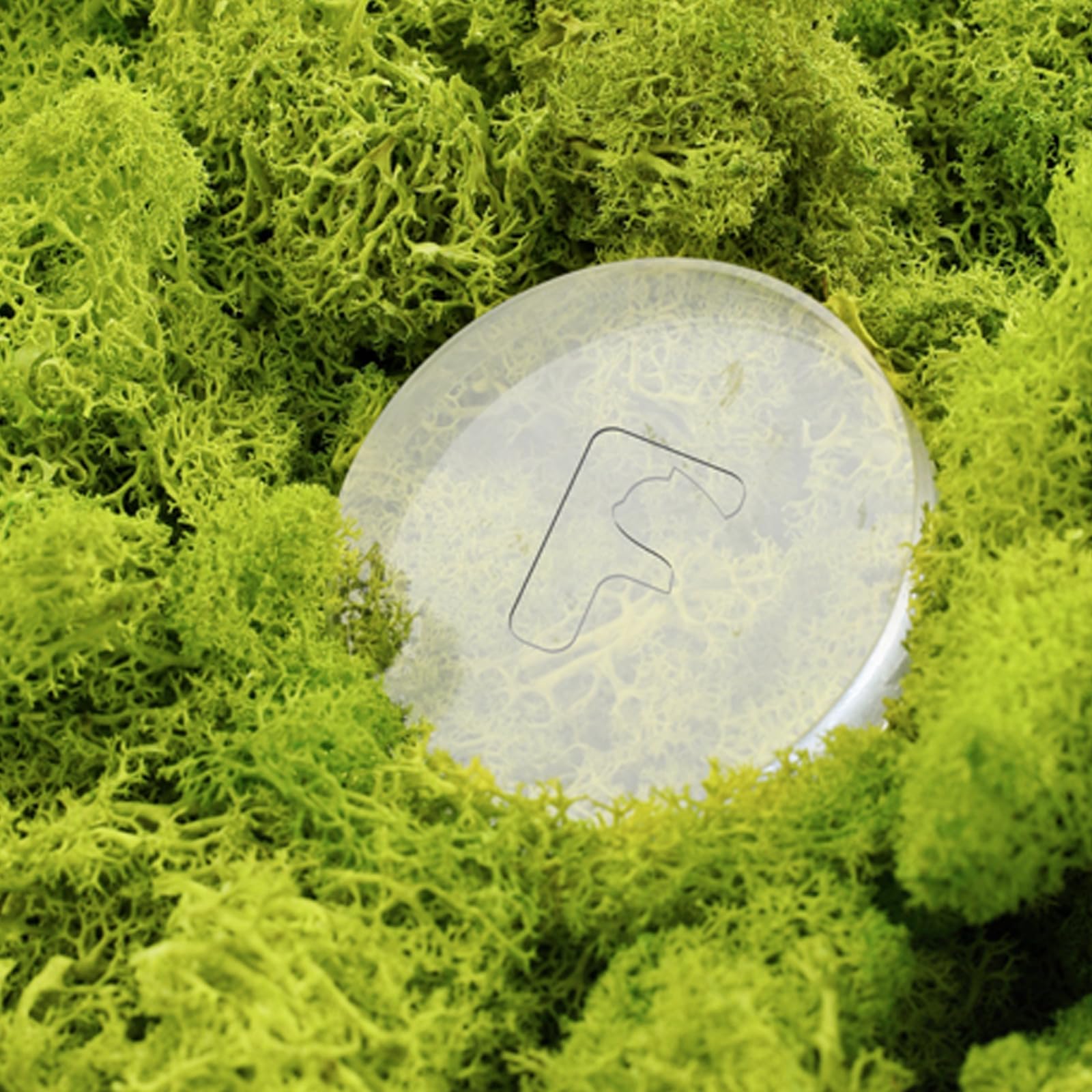 Furbulous Deodorant Bar For Litter Box Odor Removal 3 Pieces