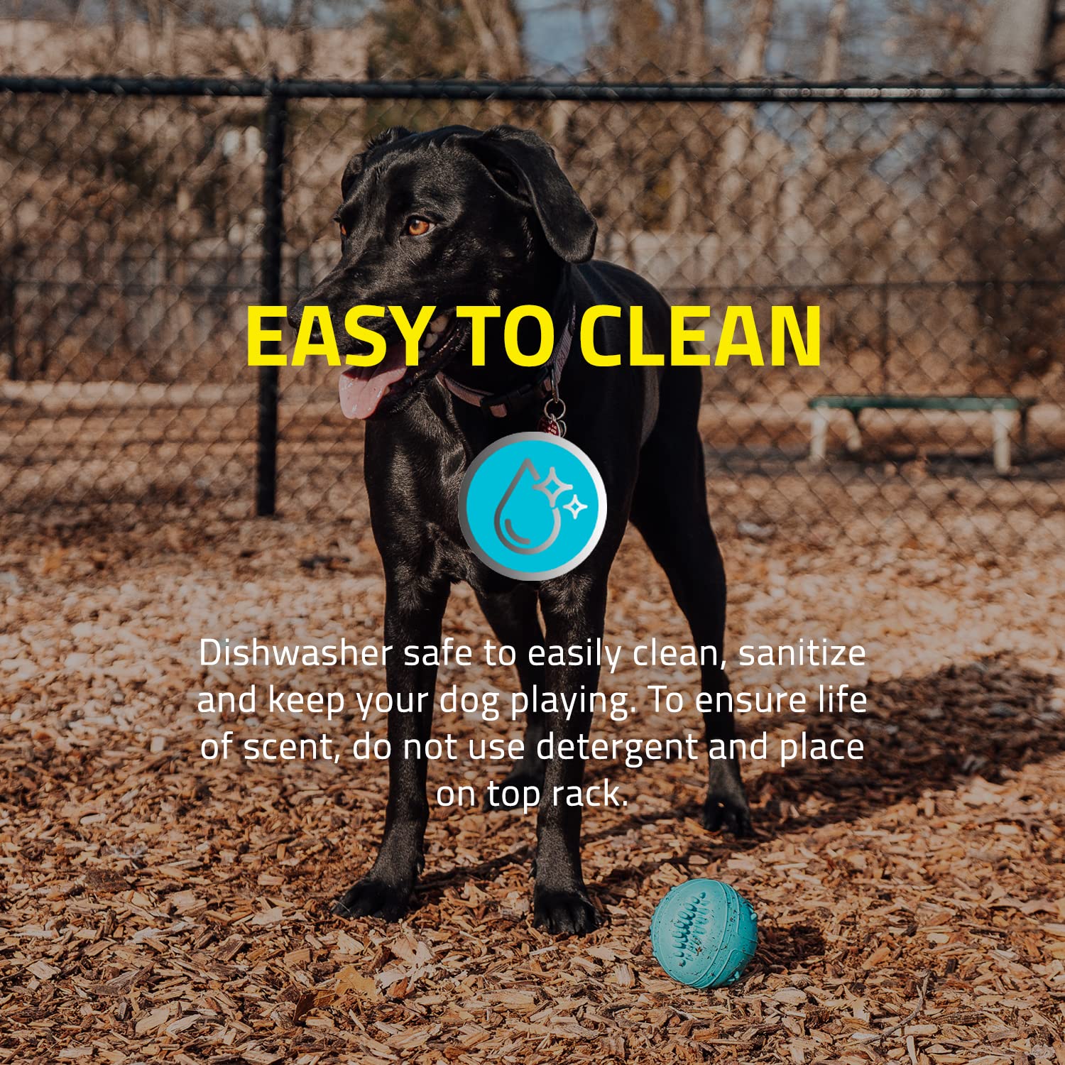 Playology Silver - Dental Chew Ball Dog Toy, Large - Designed For Senior Dogs (35Lbs And Up) - Engaging All-Natural Peanut Butter Scent - Non-Toxic Materials And Moderate Chewing For Older Teeth