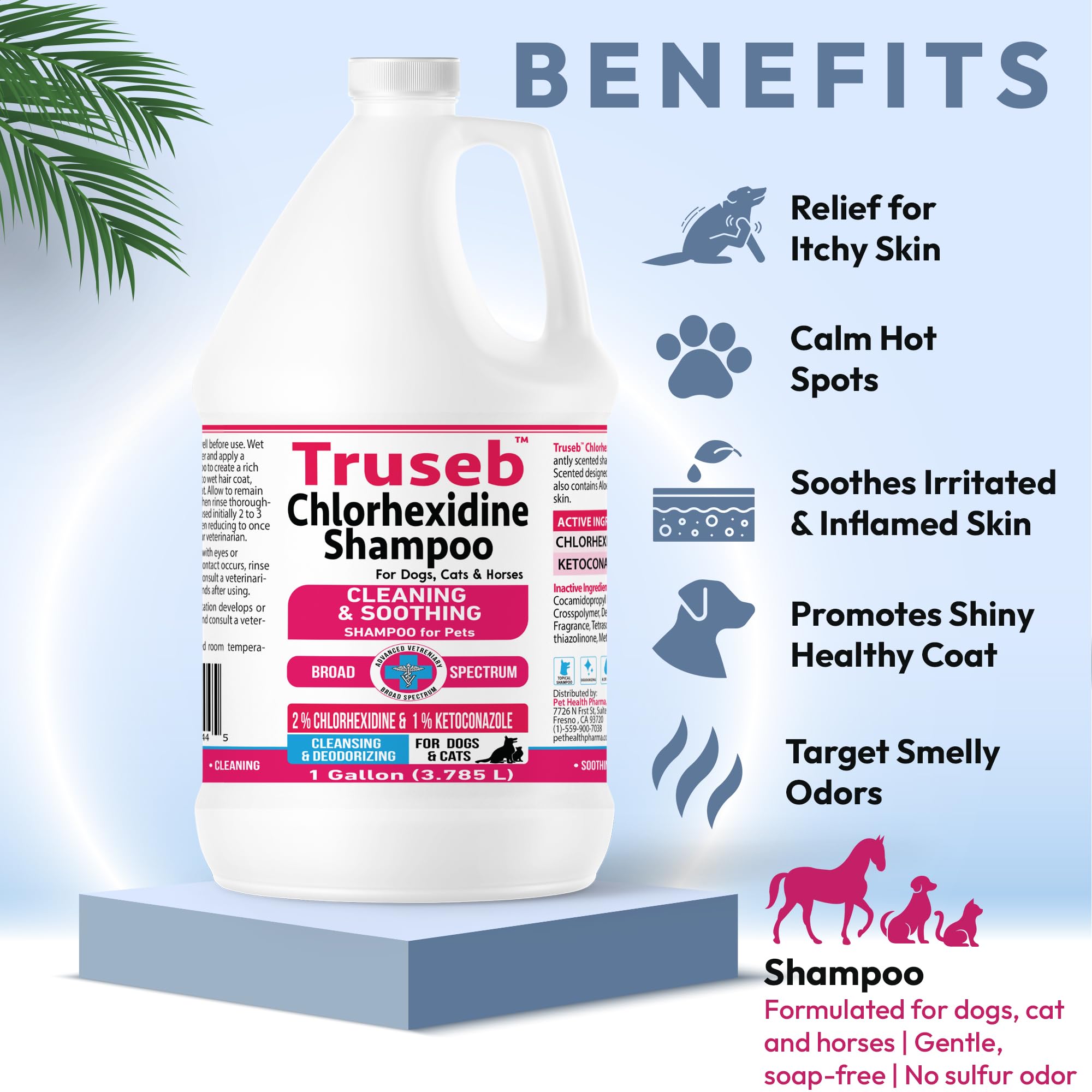 Truseb Topical Ketoconazole And Chlorhexidine Shampoo For Dogs, Cats & Horses Pleasantly Scented With A Cucumber Melon Scent Wit