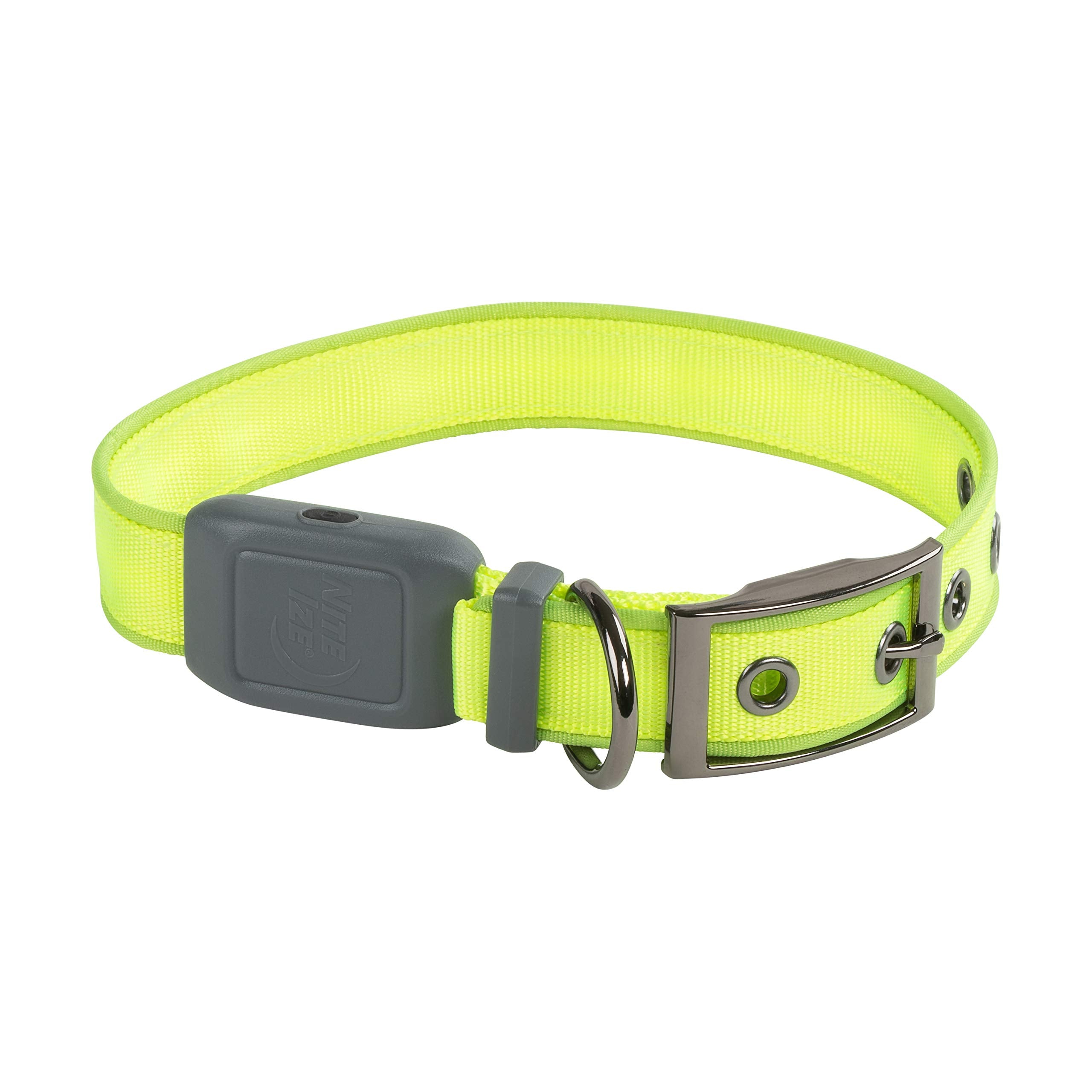 Nite Ize Nitedog Rechargeable Led Collar, Usb Rechargeable Light Up Dog Collar W/Metal Buckle, Water Resistant, Lime