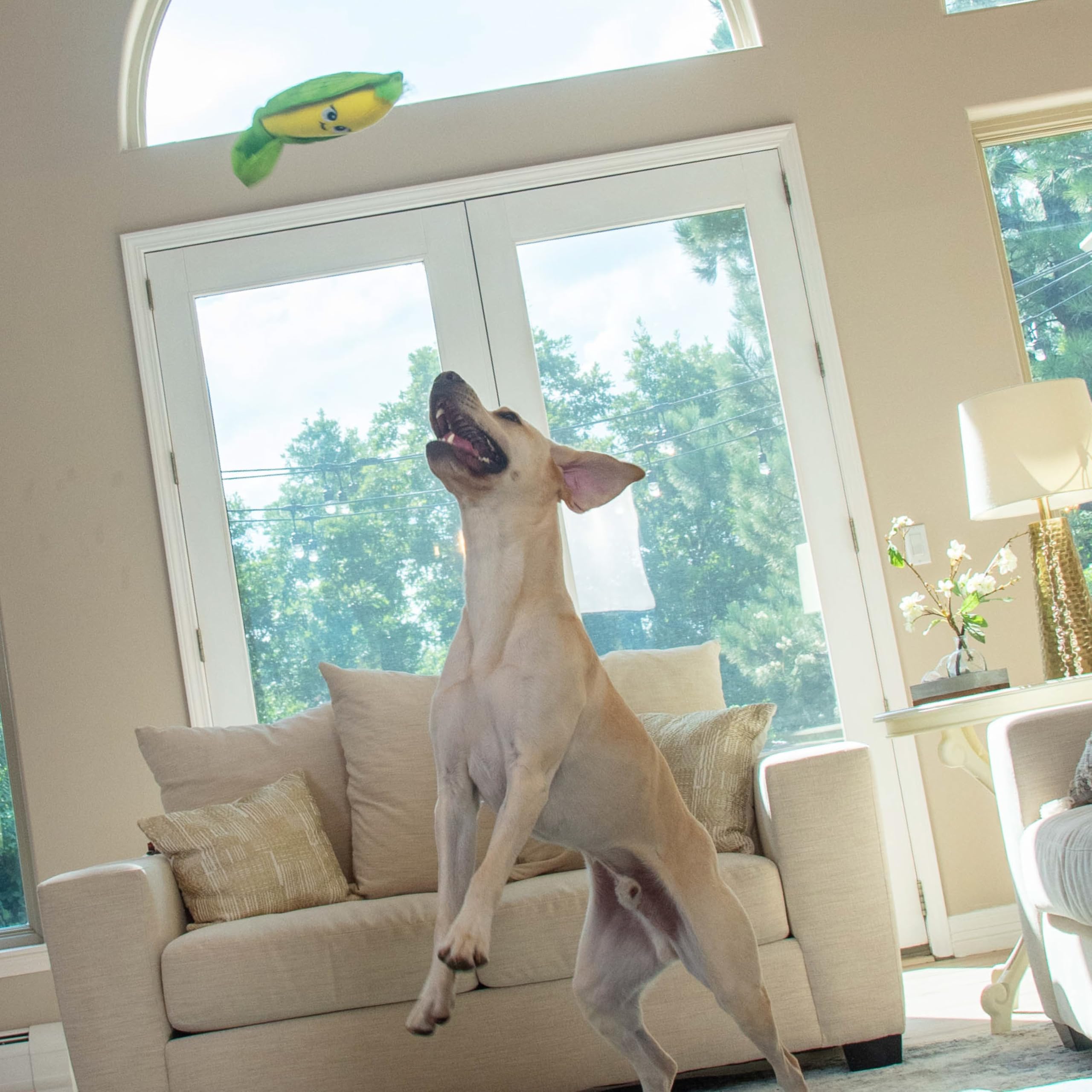 Outward Hound by Nina Ottosson Hide N' Find Interactive Plush Dog Puzzle, Durable Dog Toy, Plush Enrichment Toys, Corn, Multicol