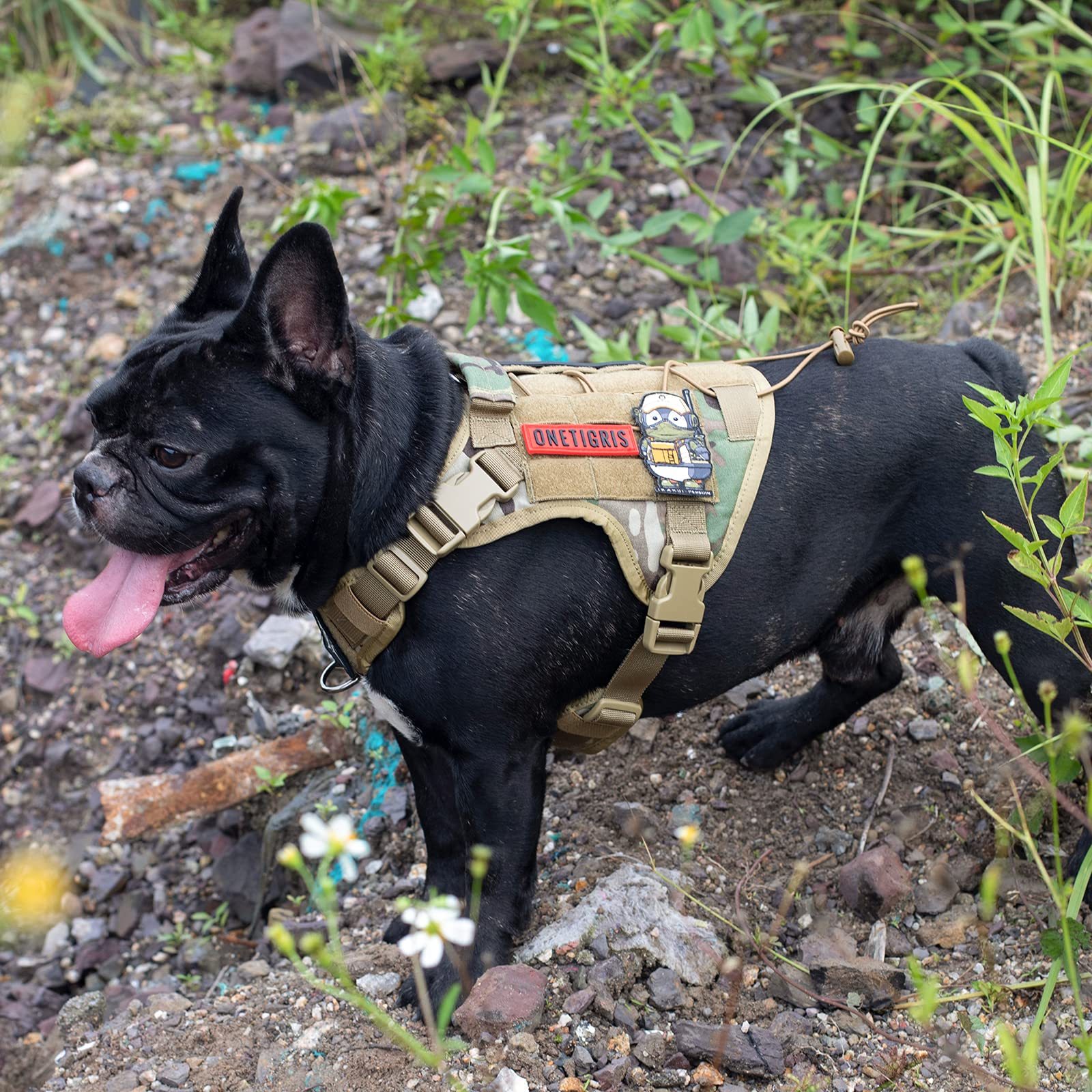 Tactical Dog Harness Vest with Handle, Military Dog Harness for Large Medium Dogs,No-Pull Service Dog Vest with Hook & Loop Pane