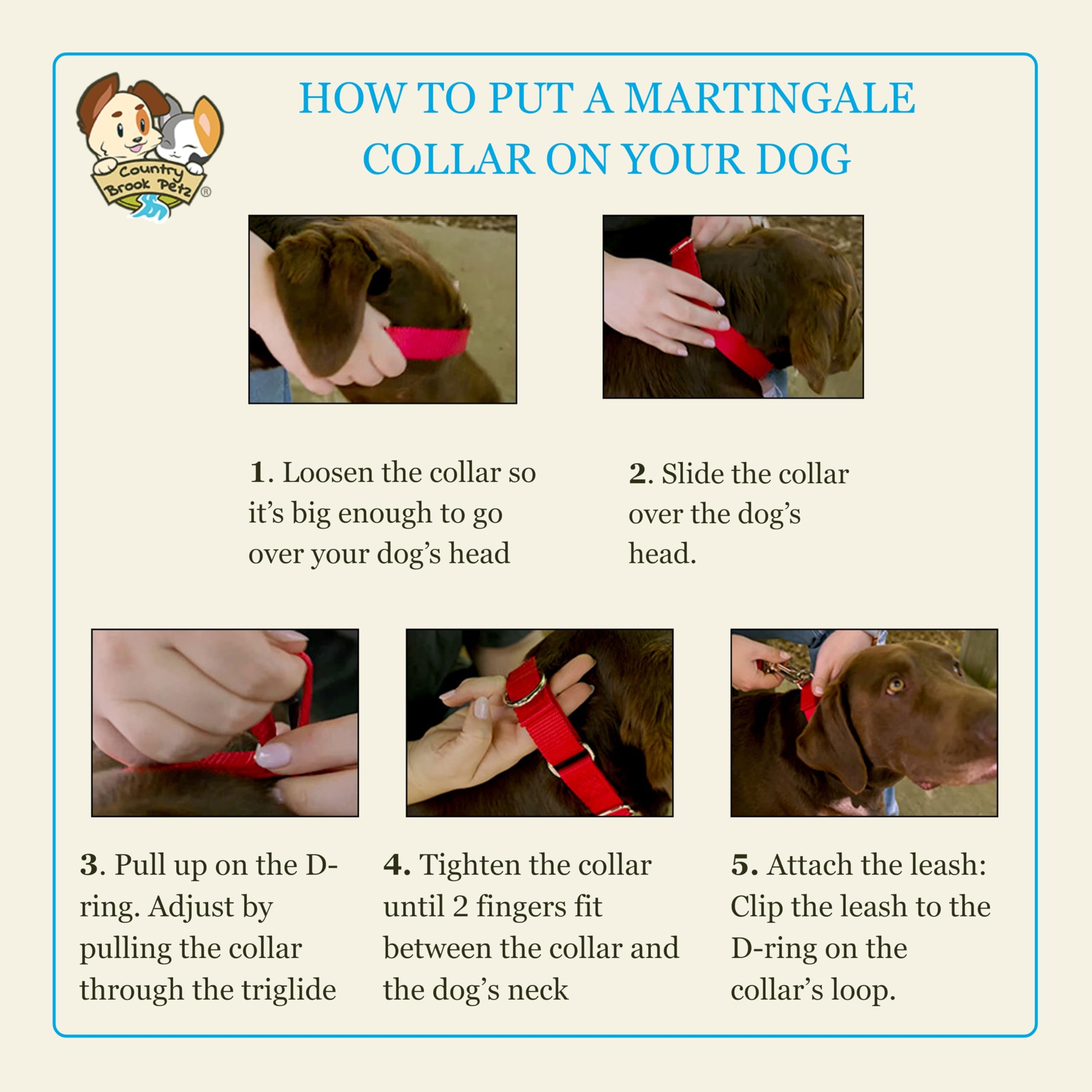 Country Brook Petz - Hossfit Jr Wide Martingale Dog Collar - Dog'S Life Collection Featuring Playful Designs (Oh My Dog, Medium)