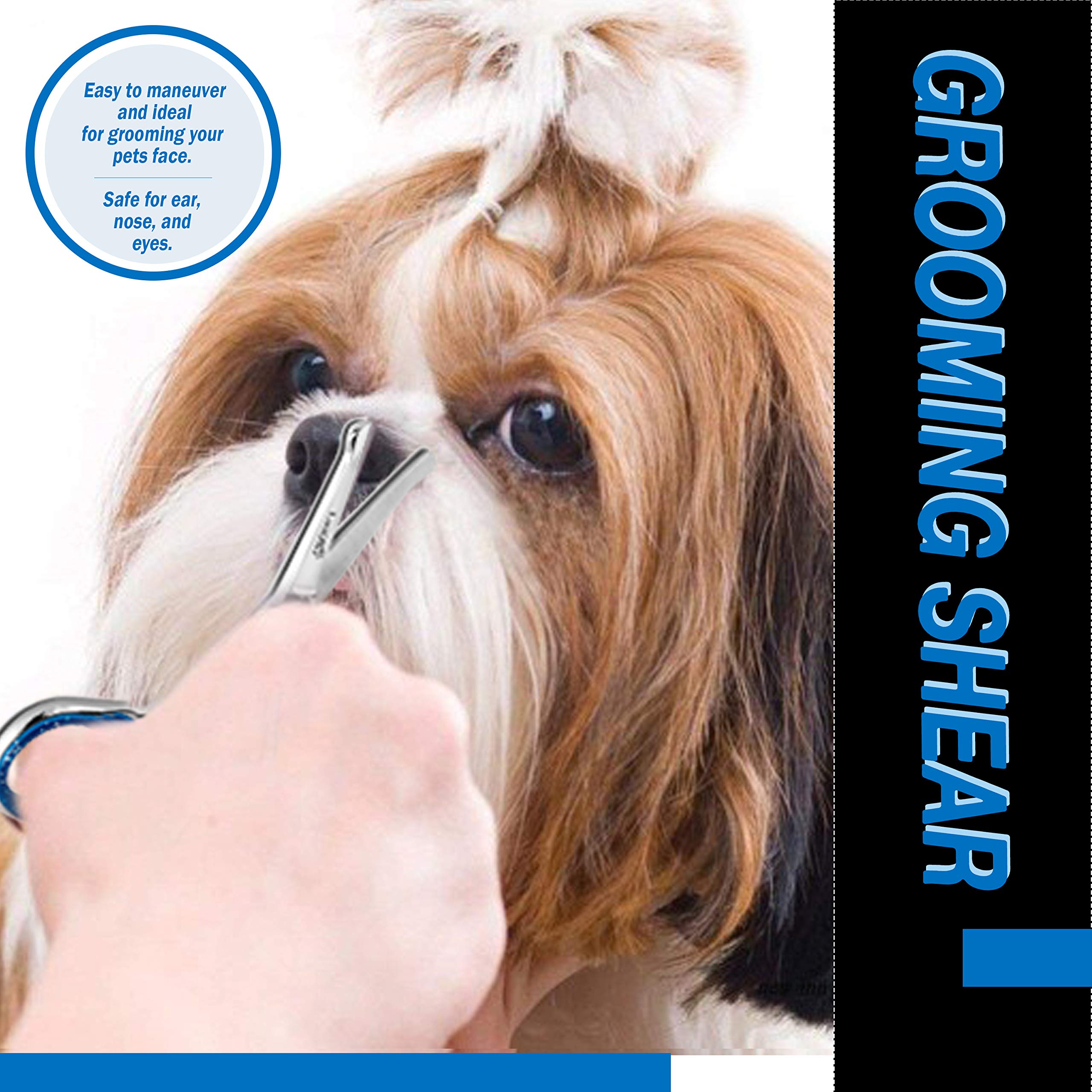 Laazar Straight Dog Grooming Scissors - Comfortable Around The Eyes Cat & Dog Scissors | Blunt Dog Trimming Scissors| Premium St