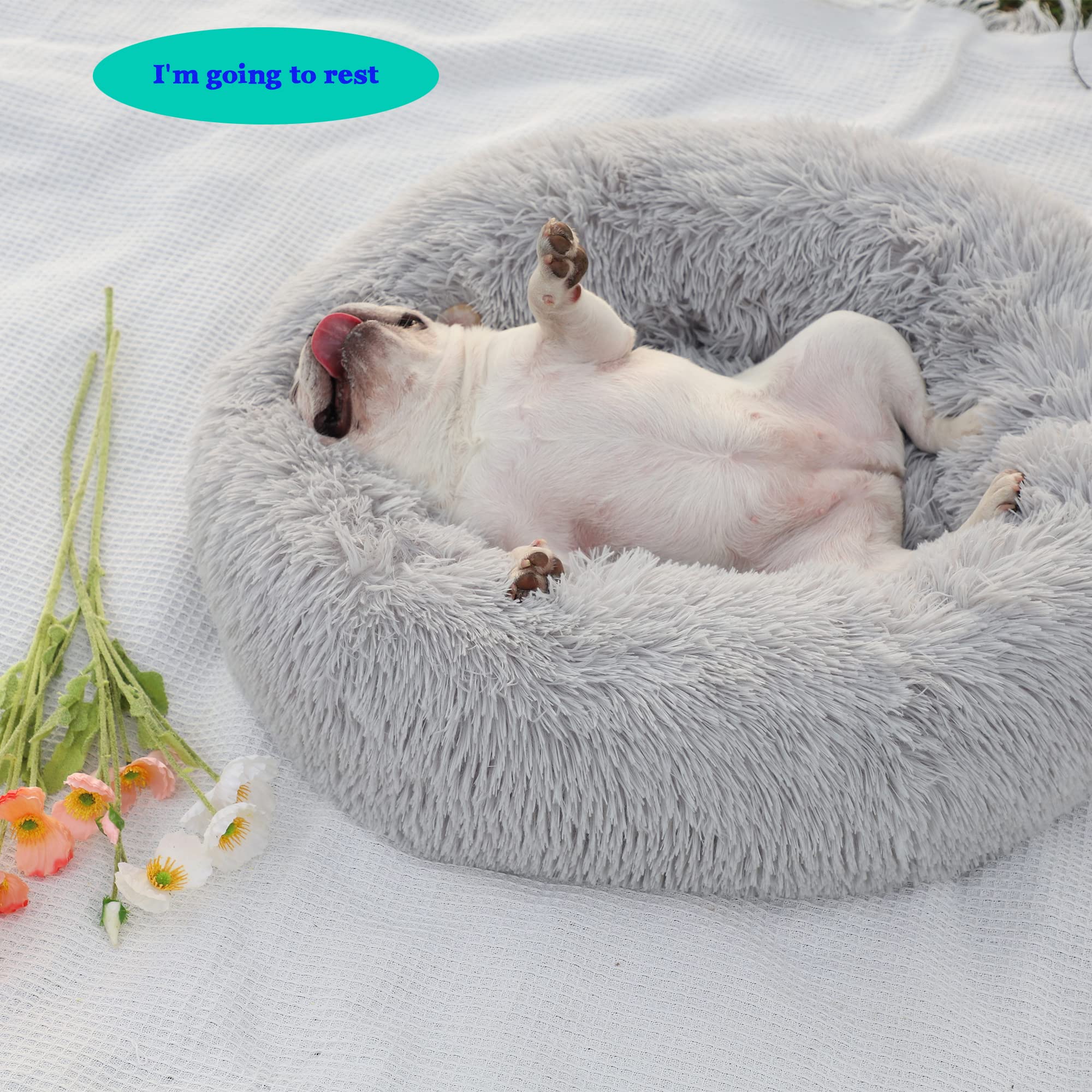 Nononfish Dog Beds For Medium Dogs Washable