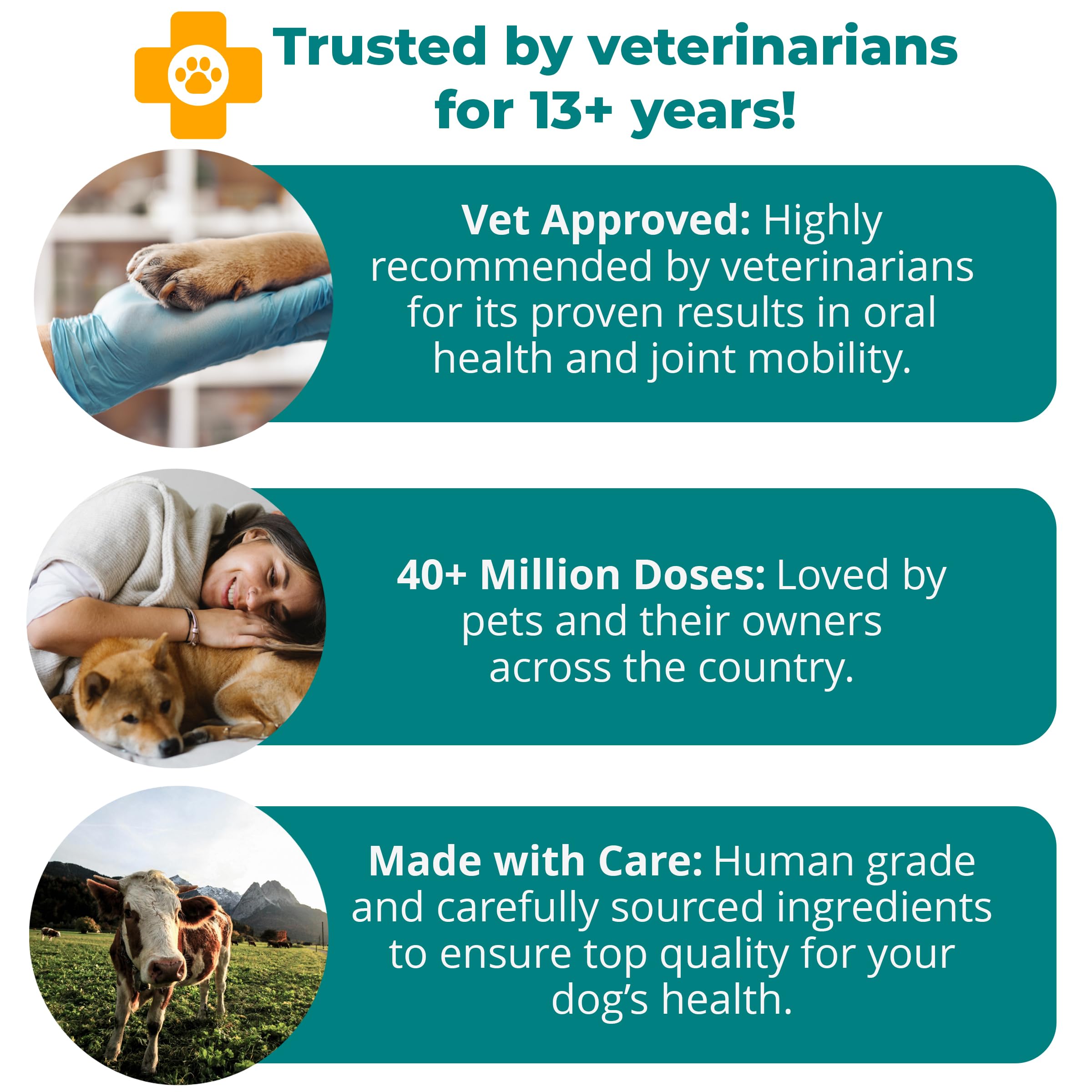 1TDC WorksSoWell Dual Action Joint Supplement for Dogs & Cats - Hip and Joint Supplement for Large Breed & Small Breed - Also Gr