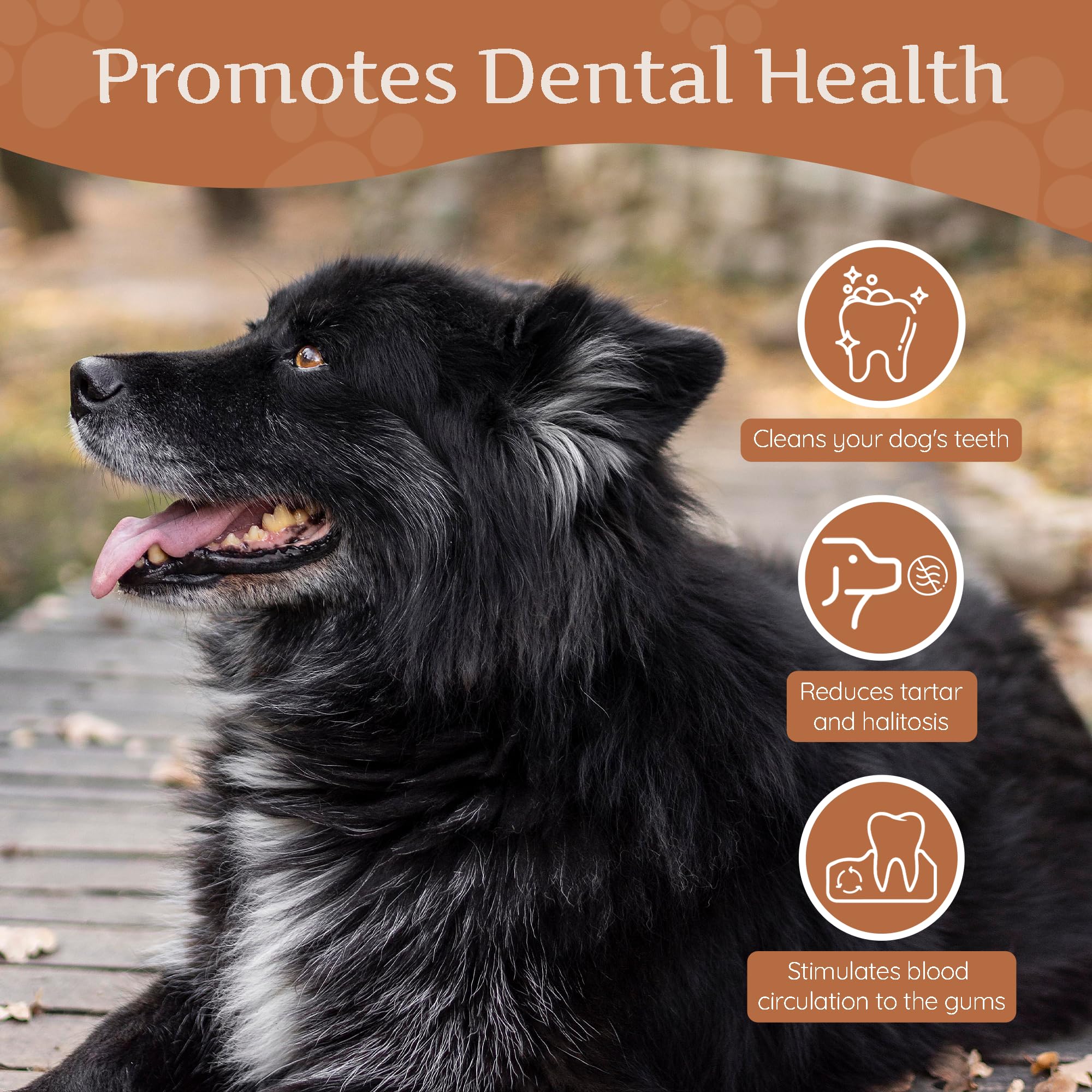 Wildfangcoffee Wood Dog Chew Large - Natural Chewing Stick For Dogs, Chewing Bone For Dogs Muscle Training Wood Chews (Size L)