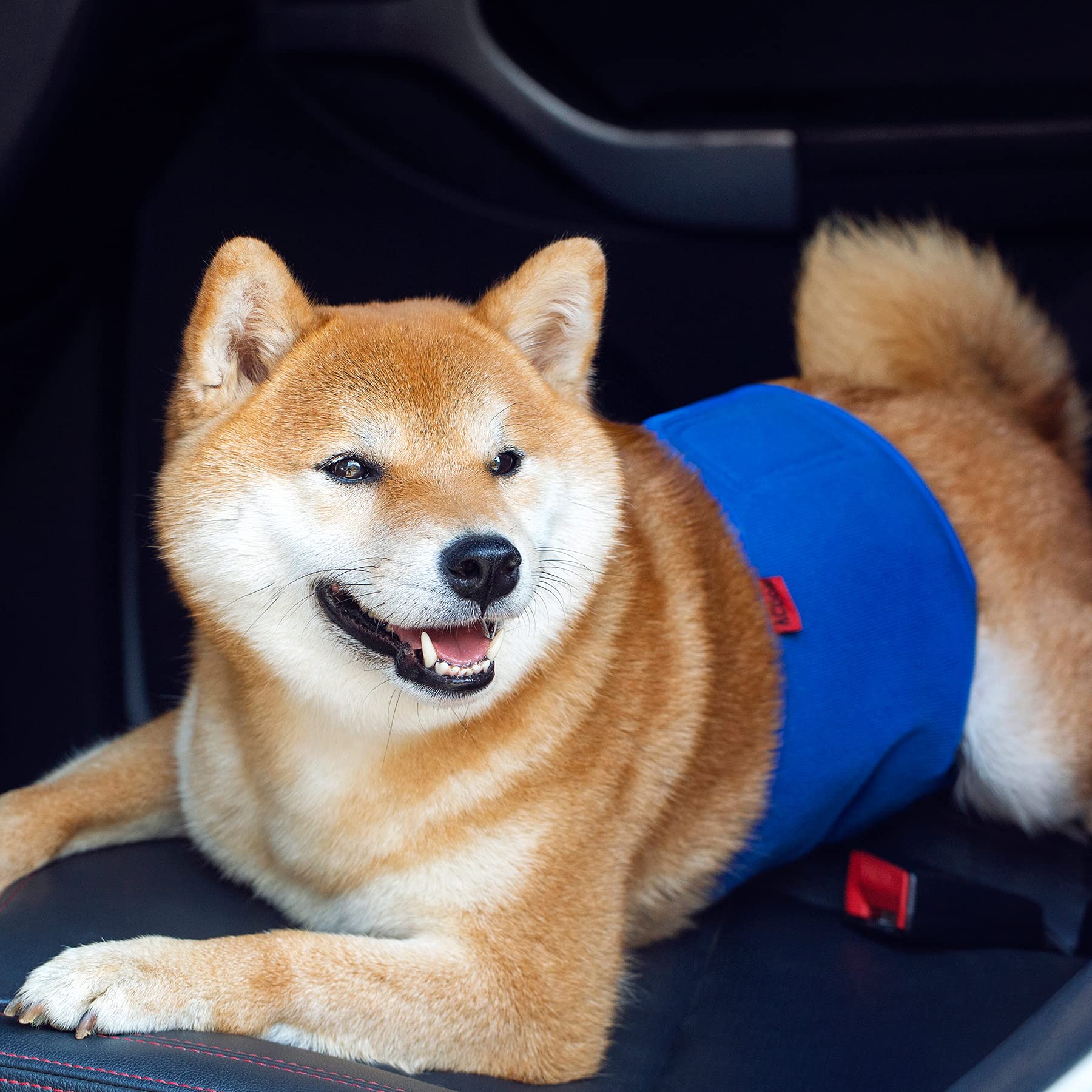 Dog Diapers Male, Acdok Reusable Belly Bands For Male Dogs Wraps Upgrade Durable Delly Diapers For Dogs (Pack Of 3) (X-Small (Pack Of 3))