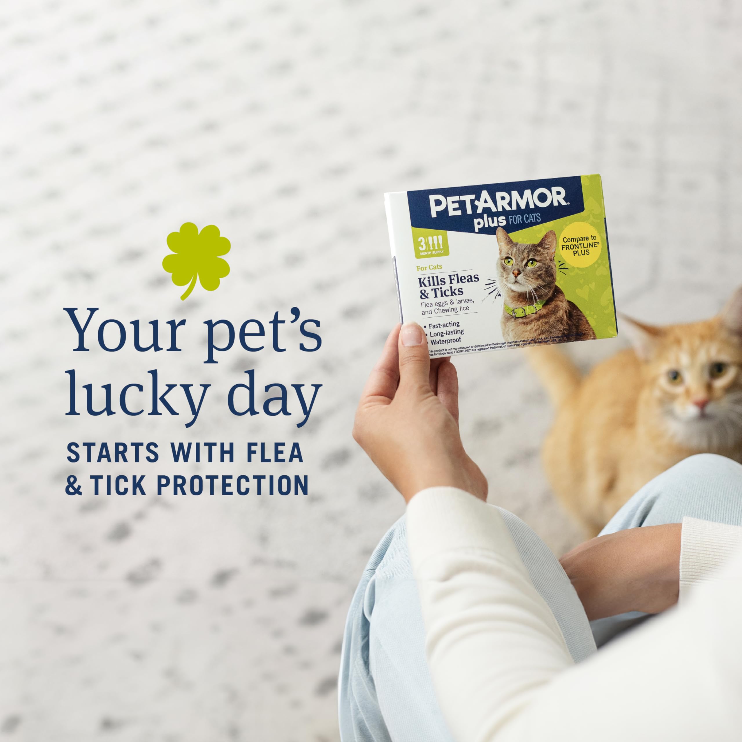 PetArmor Plus Flea and Tick Prevention for Cats, 3 Count, Waterproof, Fast Acting, For Cats Over 1.5 lbs, Model 05309