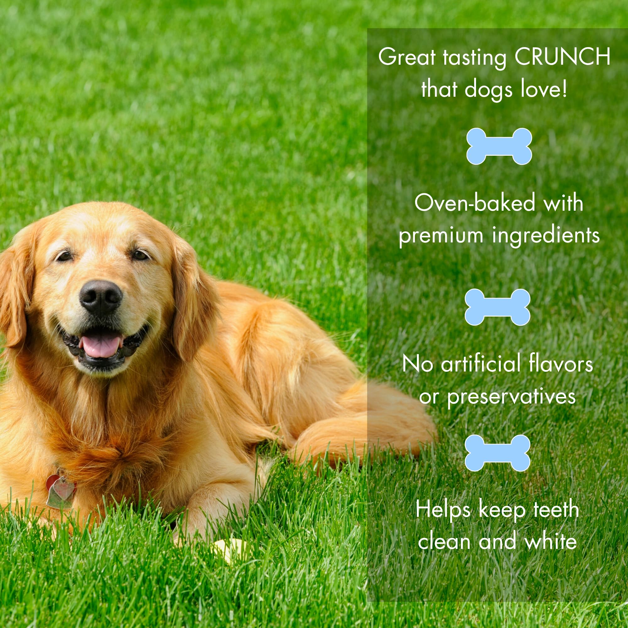 Blue Seal EnTrust CRUNCHERS Dog Treats Heart Shaped | Premium Ingredients | Happy Health Recipe | 20 LB Box