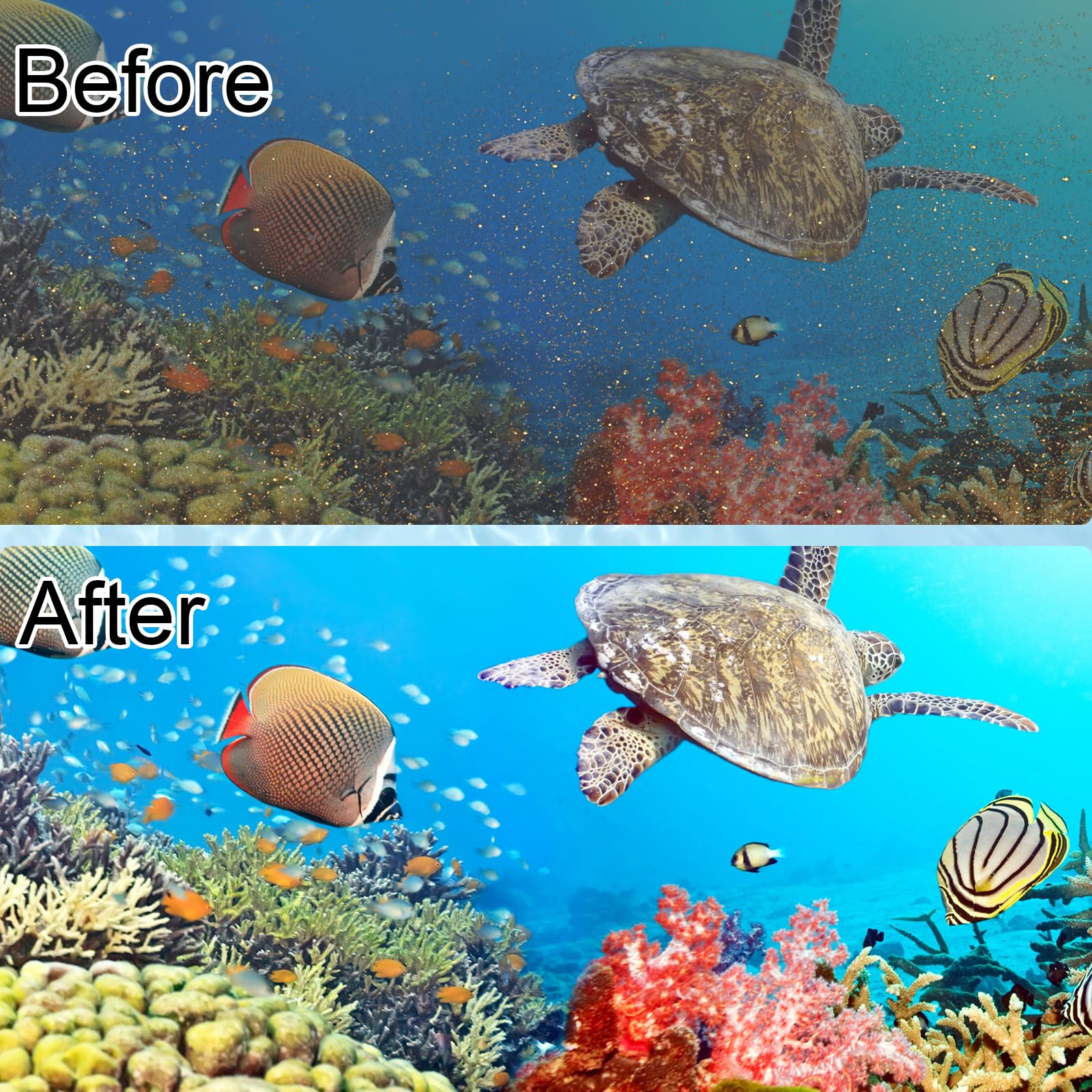 12 Pack Filter Cartridge Compatible With Whisper Bio-Bag Filters 10I/Iq10/Pf10, Medium Replacement Filter Cartridges For Aquariu