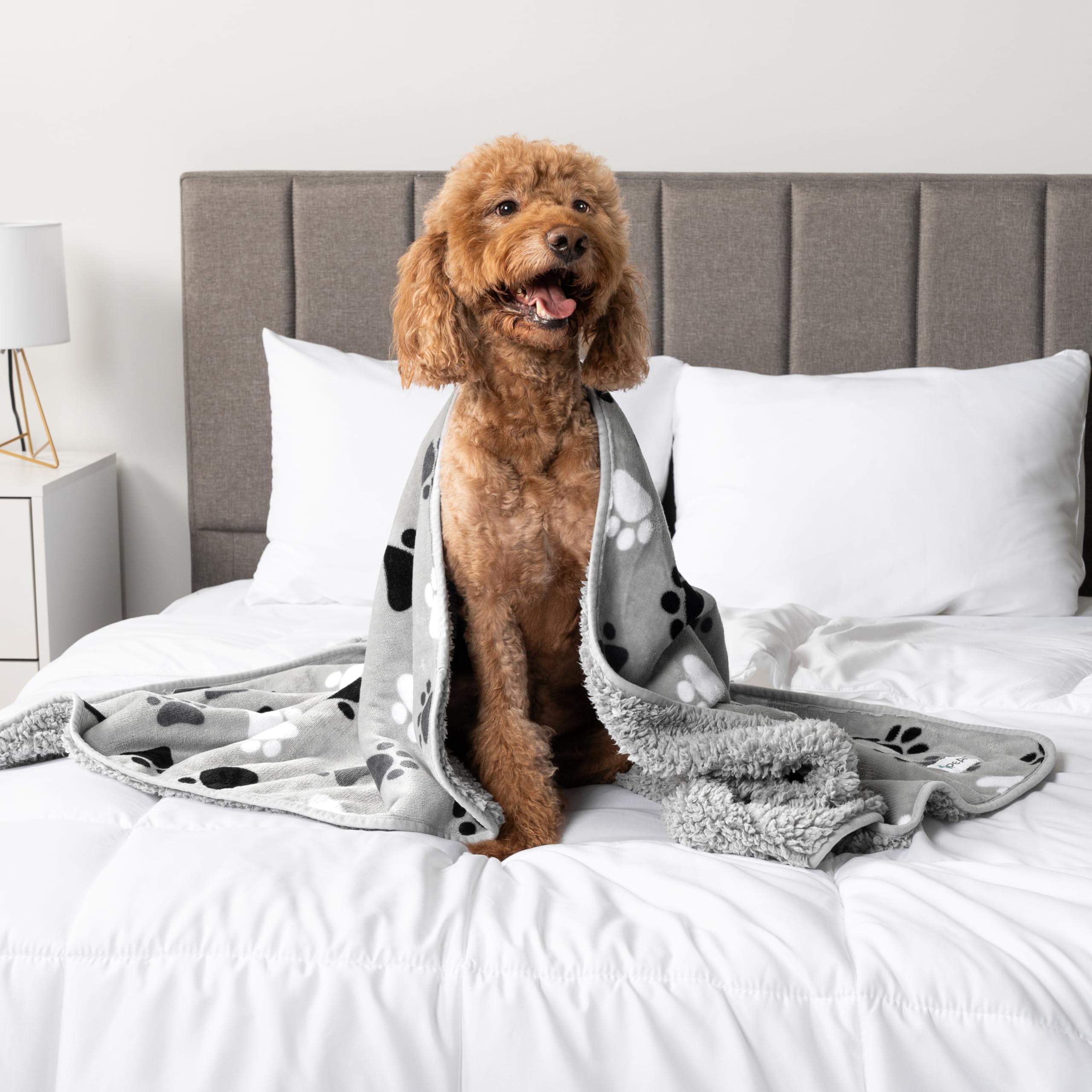 Petami Waterproof Dog Blanket For Medium Large Dogs, Pee Proof Pet Blanket For Bed Couch, Reversible Water Proof Blanket For Puppy Indoor Cat, Soft Dog Pee Crate Cover Washable, 60X80 Paw Gray