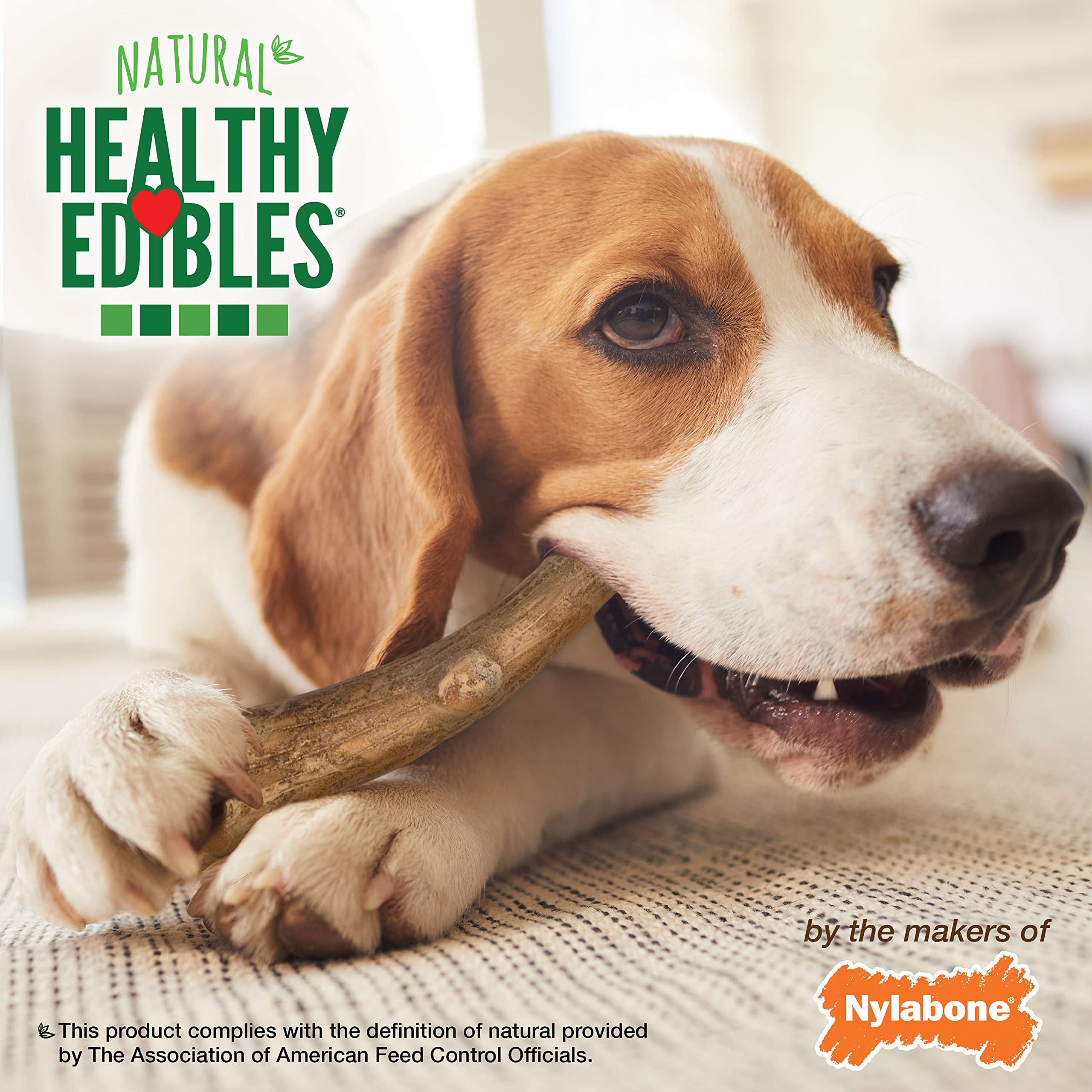 TFH MD 10CT VENISON ANTLER EDIBLE