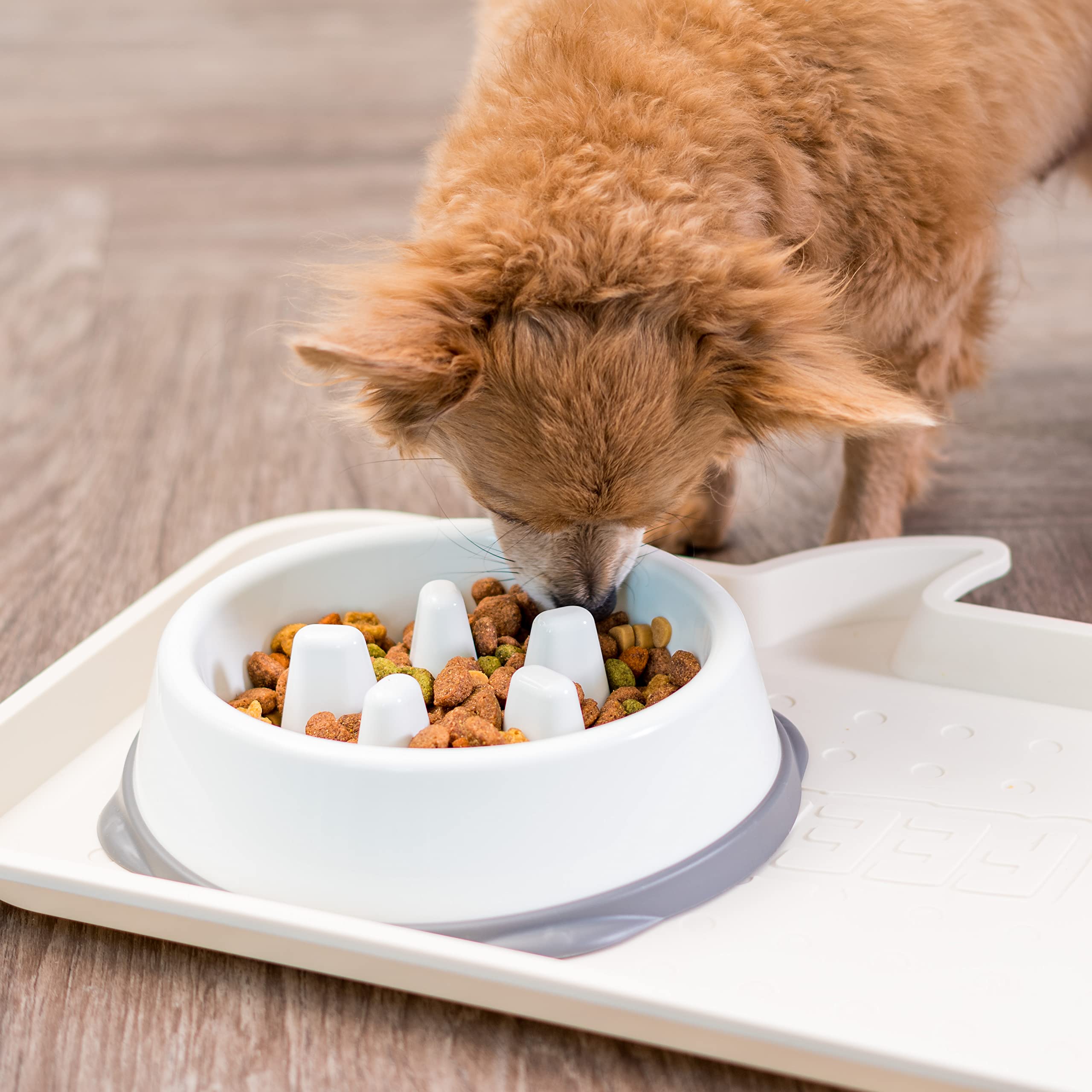 IRIS USA 2-Cup Slow Feeder Dog Bowl, Anti-Choking & Anti-Slip, Puzzle Bowl for Healthy Digestion, Slow Eating Dog Bowl for Long