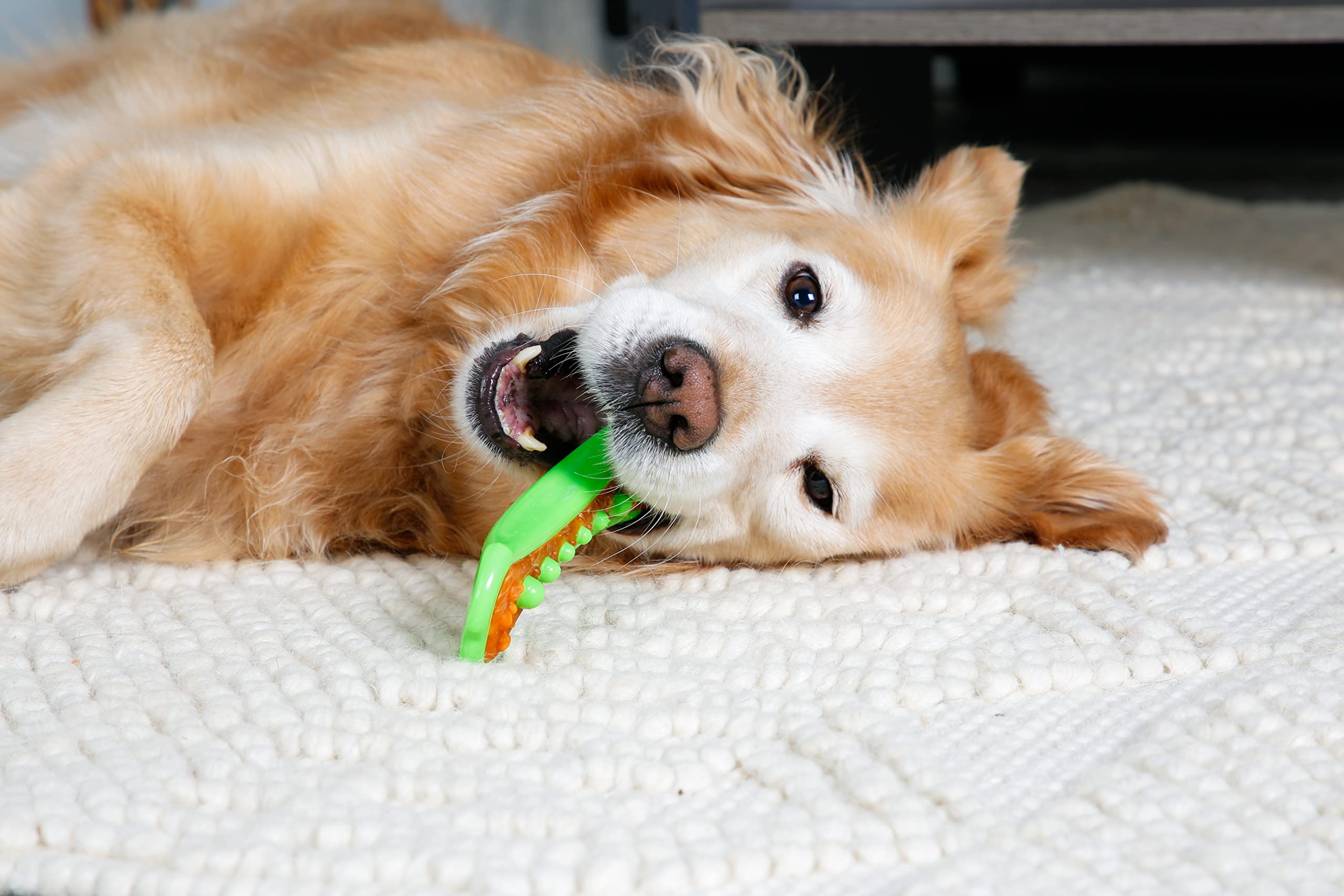 Hartz Chew 'N Clean Dental Duo Dog Treat & Chew Toy, Color Varies, Large, 3 Pack