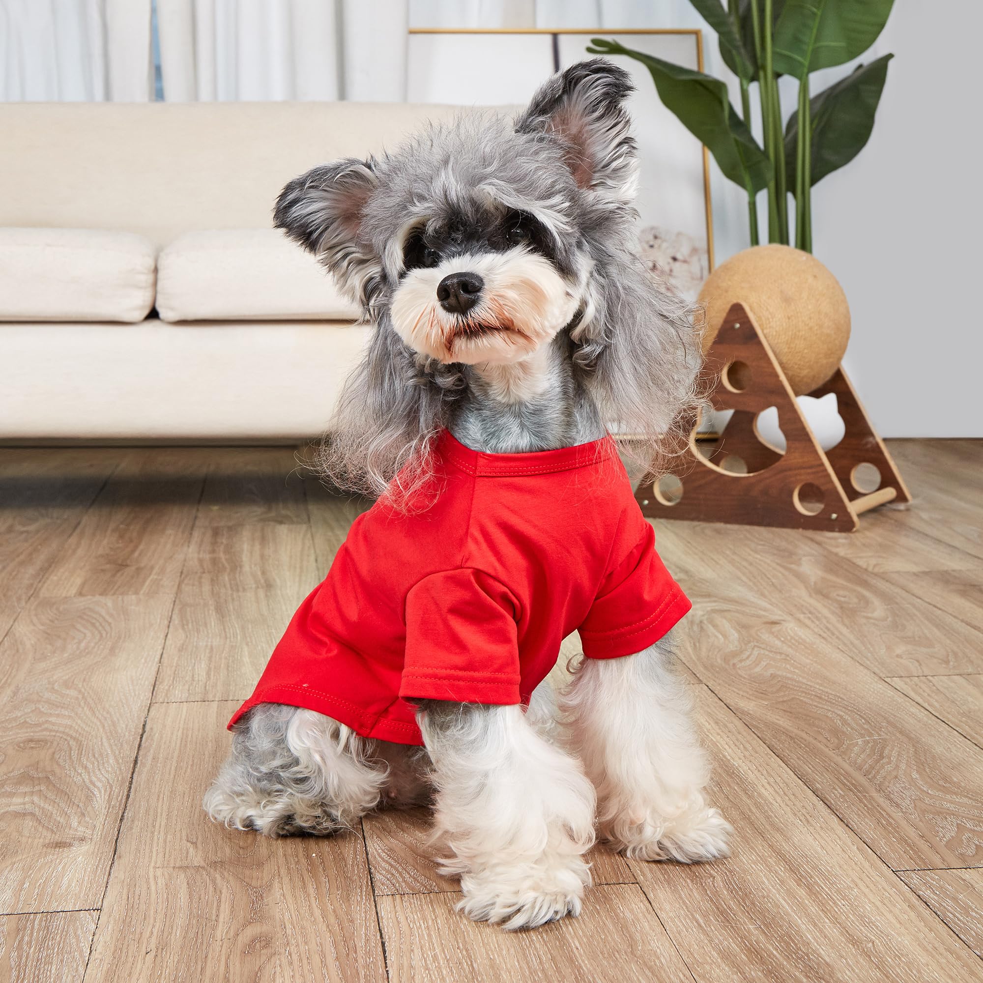 Mengmengda Dog Shirt For Small Dogs Girl Boy, Dog Pajamas, Indoor Catton Clothes, Schnauzer, Chihuahua, Dachshund, Puppy Breatha