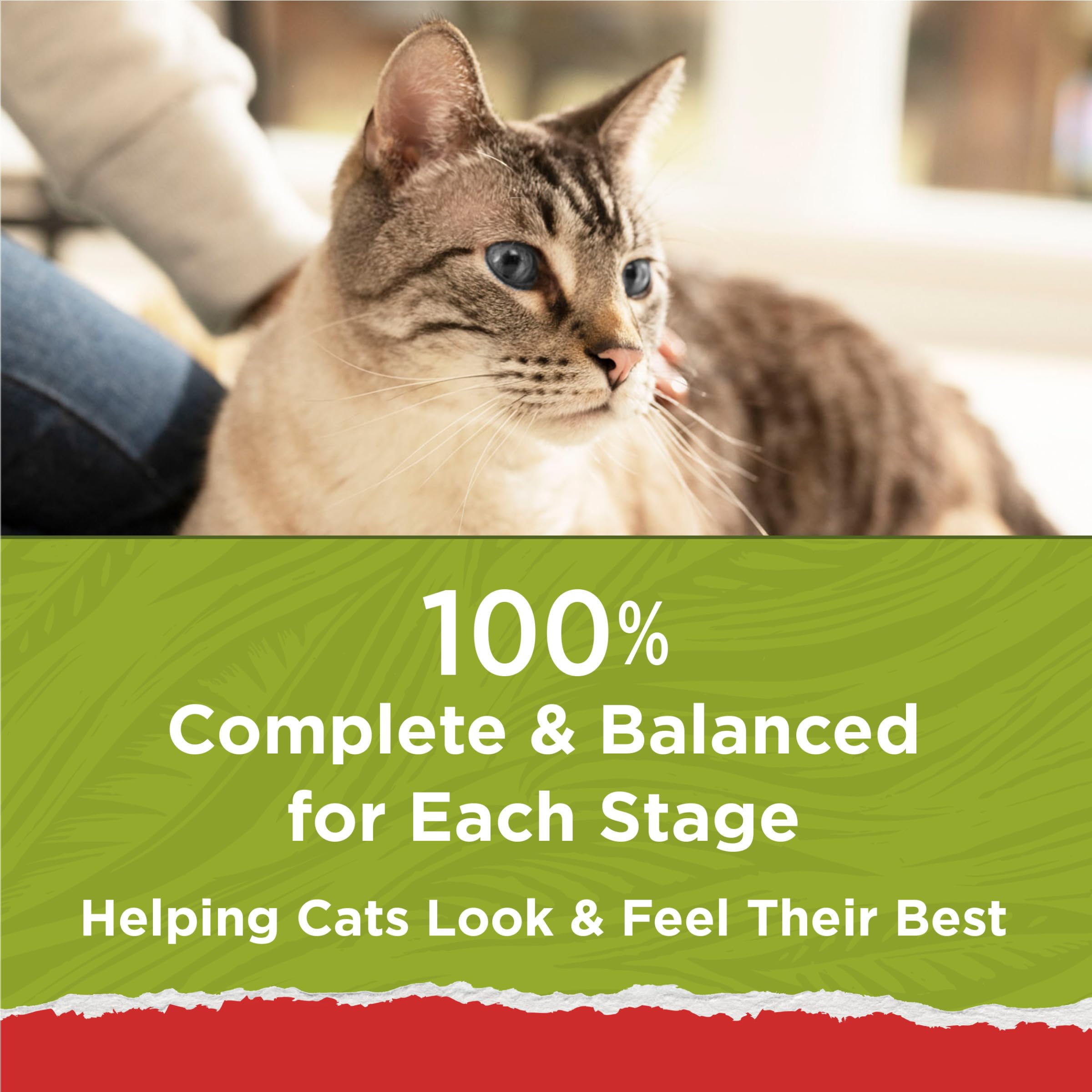 Purina Cat Chow Naturals With Added Vitamins, Minerals and Nutrients Dry Cat Food, Naturals Original - (Pack of 4) 3.15 lb. Bags