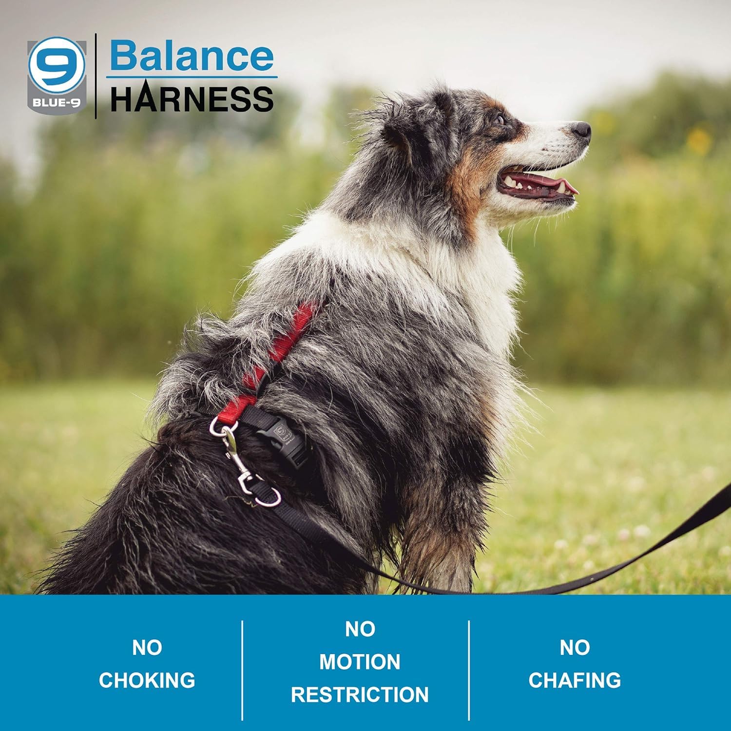 Blue-9 Buckle-Neck Balance Harness, Fully Customizable Fit No-Pull Harness, Ideal For Dog Training And Obedience, Made In The Usa, Blue, Large