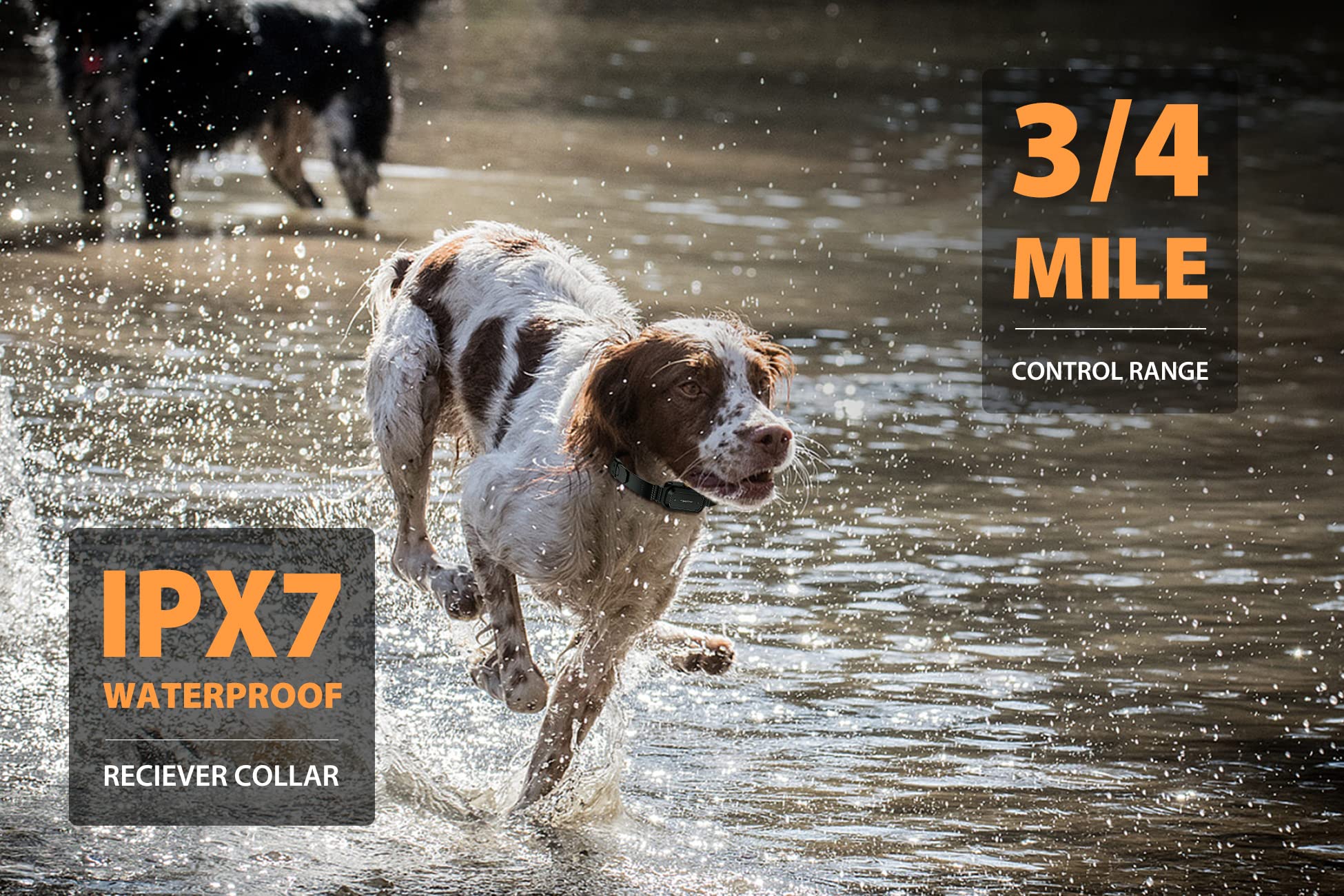 Patpet Dog Training Collar For 2 Dogs (15-140Lbs) - 3/4 Mile Range E Collar Shock Collar For Large Dog