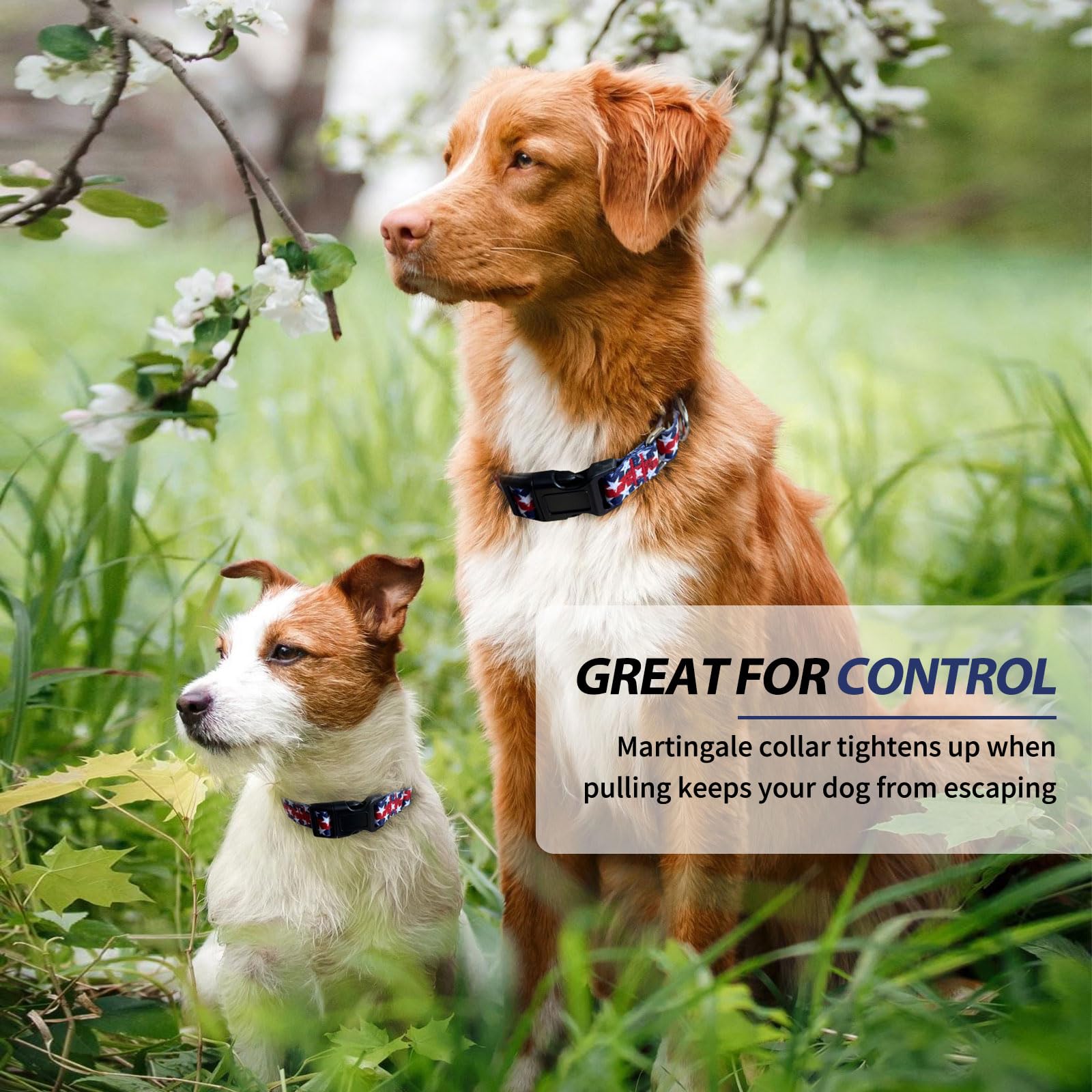 Hikiko American Flag Martingale Collar With Buckle Adjustable Soft Nylon Dog Collars For Small Medium Large Dog (Star,Small)