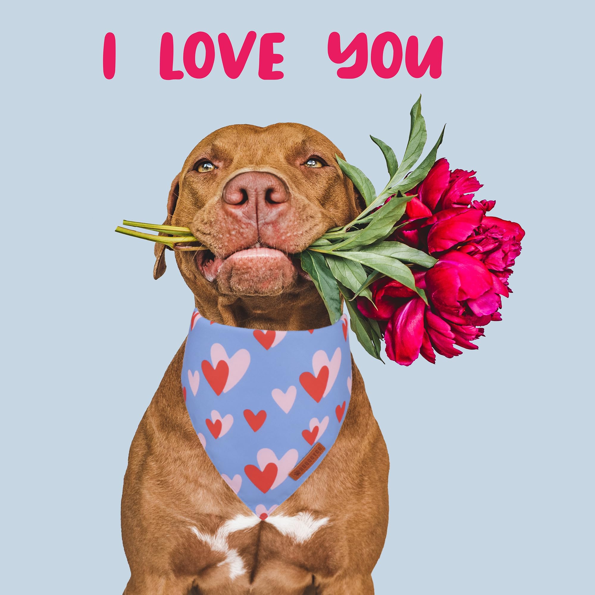 ADOGGYGO Valentine Dog Bandana, Blue Pink Heart Pet Scarf, Premium Durable Fabric, Adjustable Fit Pet Valentine Bandanas for Lar