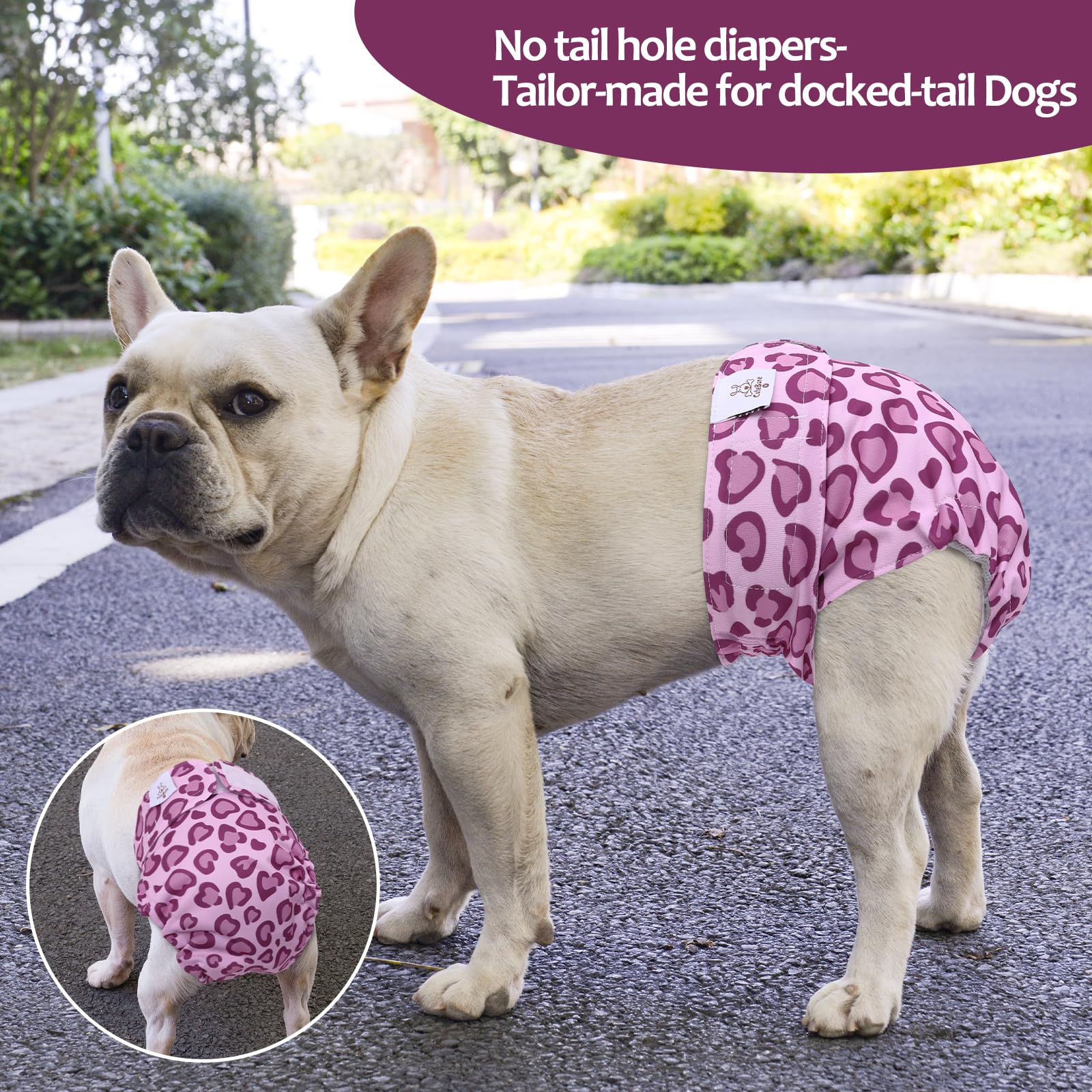 Cutebone Washable Dog Diapers Female No Tail Hole 3 Pack Reusable Doggie Period Training Pants For Docked-Tail Frenchie French Bulldog Boston Terrier Without Tail Wwd18M