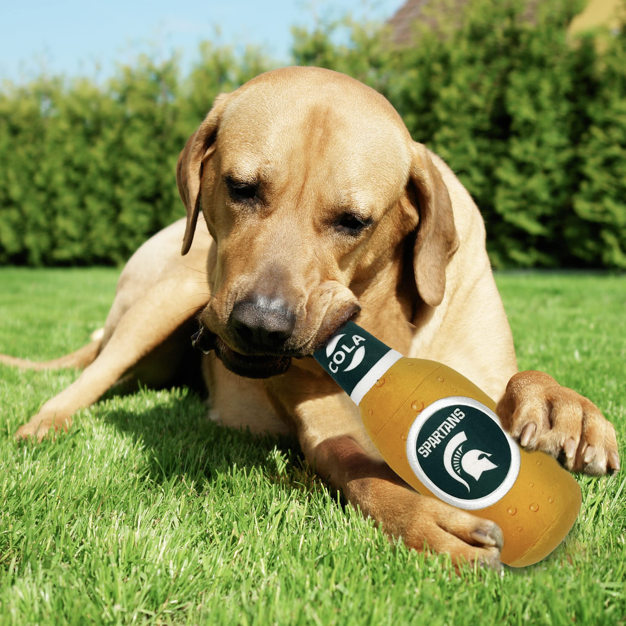 Ncaa Michigan State Spartans Beer Bottle Plush Dog & Cat Squeak Toy- Cutest Stadium Soda Bottle Snack Plush Toy For Dogs & Cats