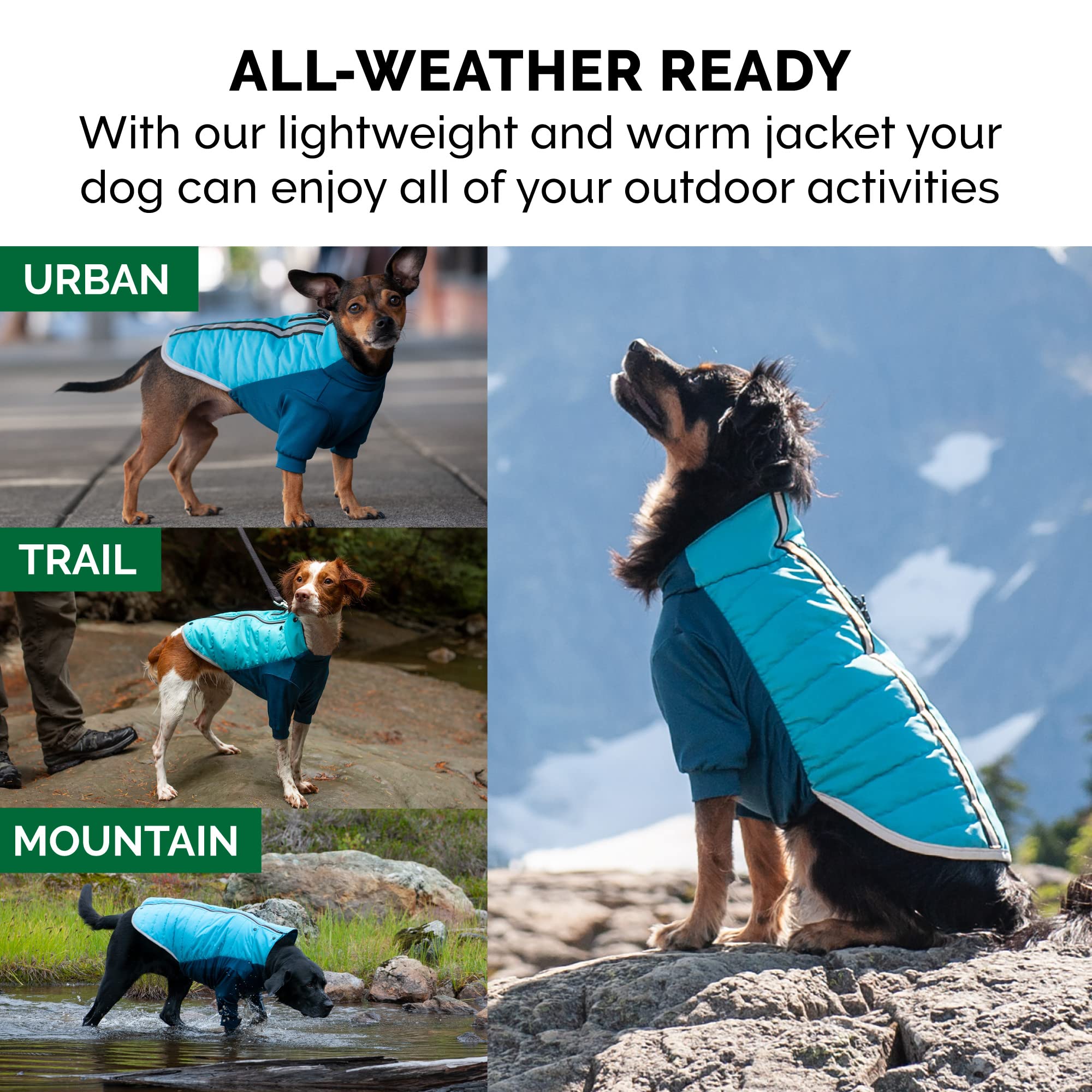 Furhaven X-Small Dog Coat Water-Repellent Pro-Fit Active Jacket, Washable - Aquamarine, Extra Small