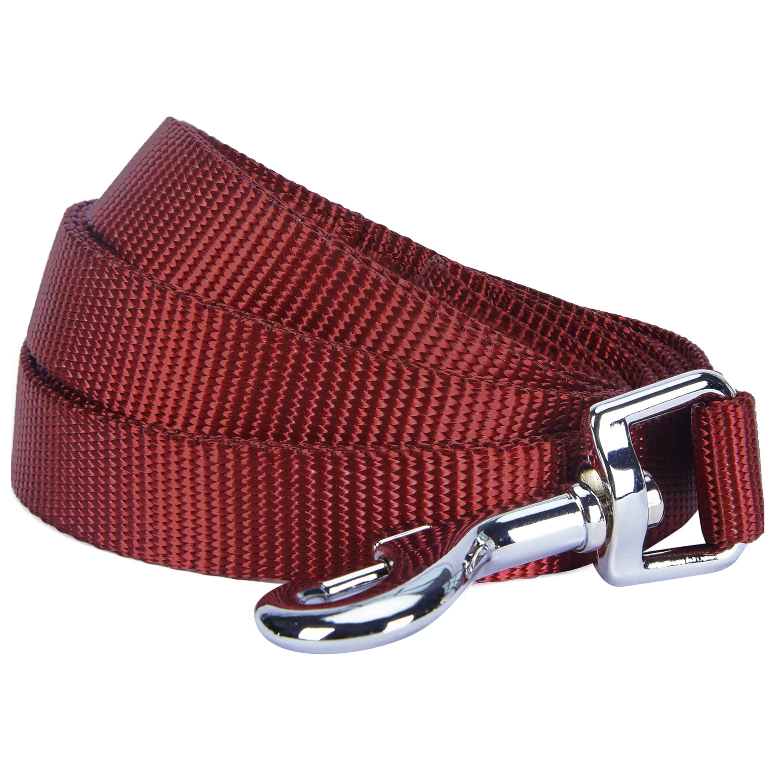 Blueberry Pet Essentials Classic Dog Leash - 5Ft. X 5/8 Small, Fired Brick, Lightweight & Standard