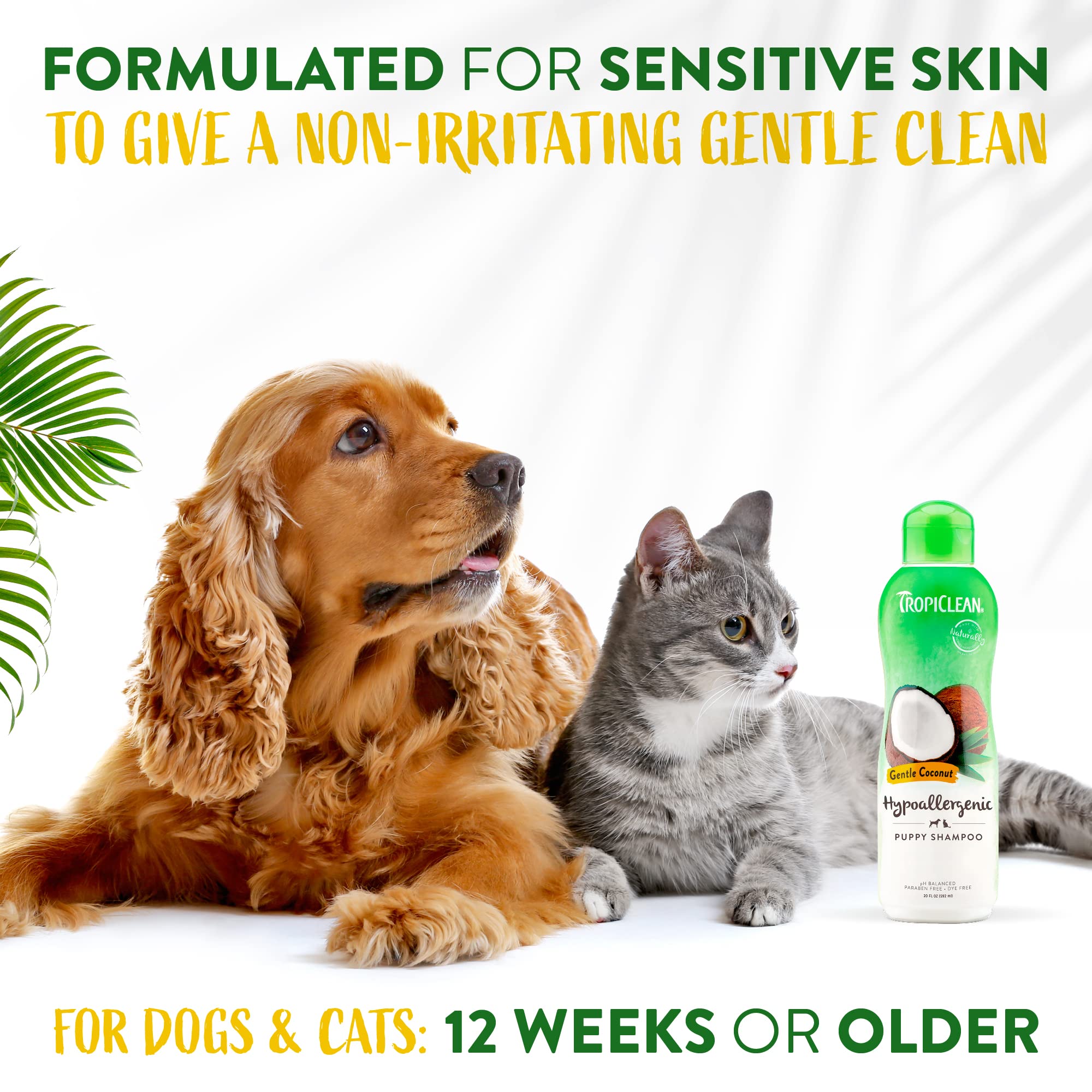 Tropiclean Coconut Hypoallergenic Dog Shampoo | Gentle Puppy Shampoo For Sensitive Skin | Natural Pet Shampoo Derived From Natural Ingredients | Kitten Friendly | Made In The Usa | 20 Oz.