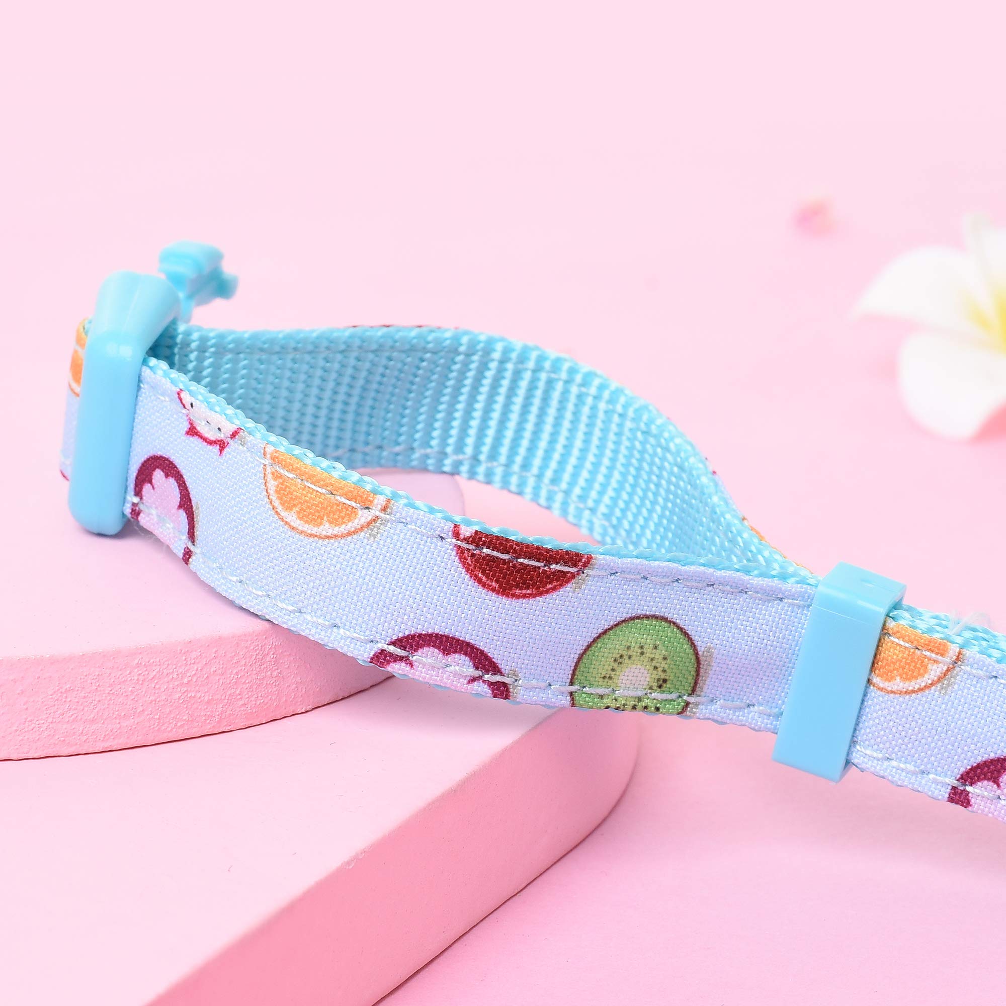 Mile High Life | Cute Dog Collar | Lightweight | Soft Poly Cotton Fabric | Citrus, Flower & Fruit Pattern (Xs)