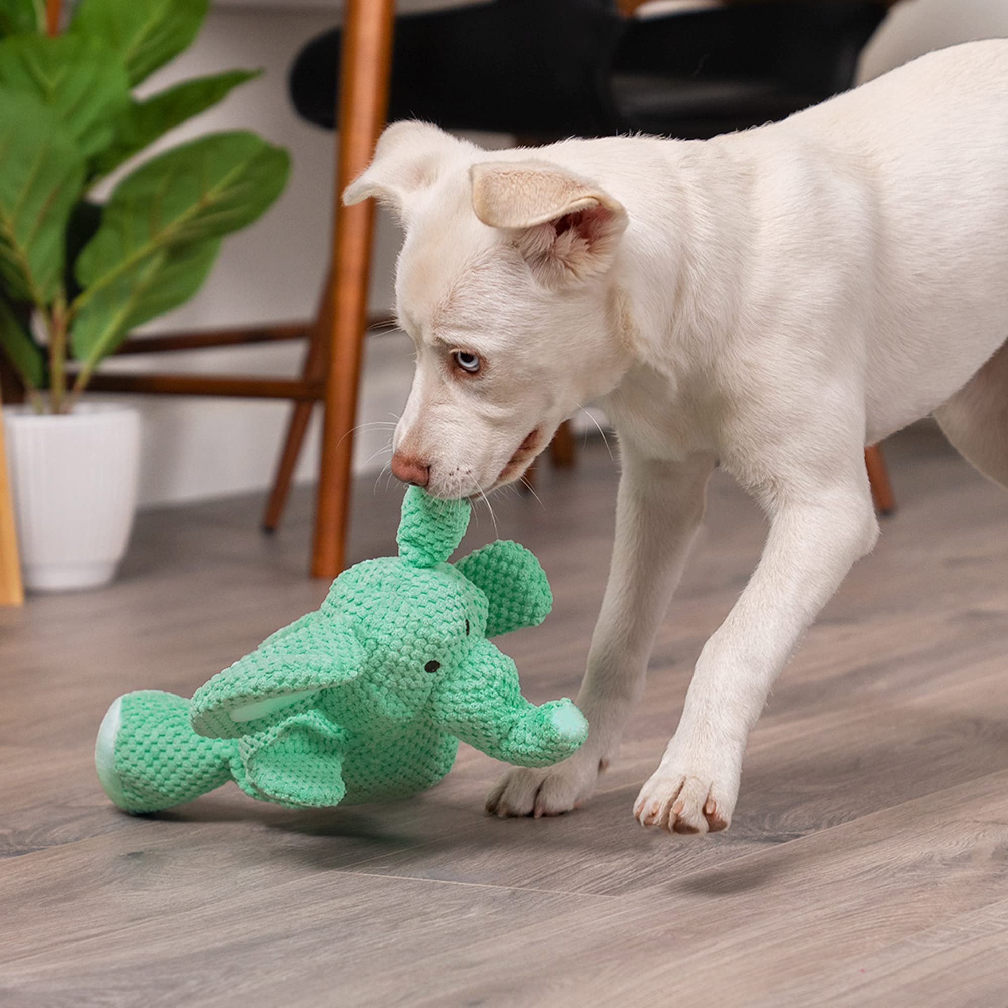 Godog Checkers Elephant Squeaky Plush Dog Toy, Chew Guard Technology - Green, Large