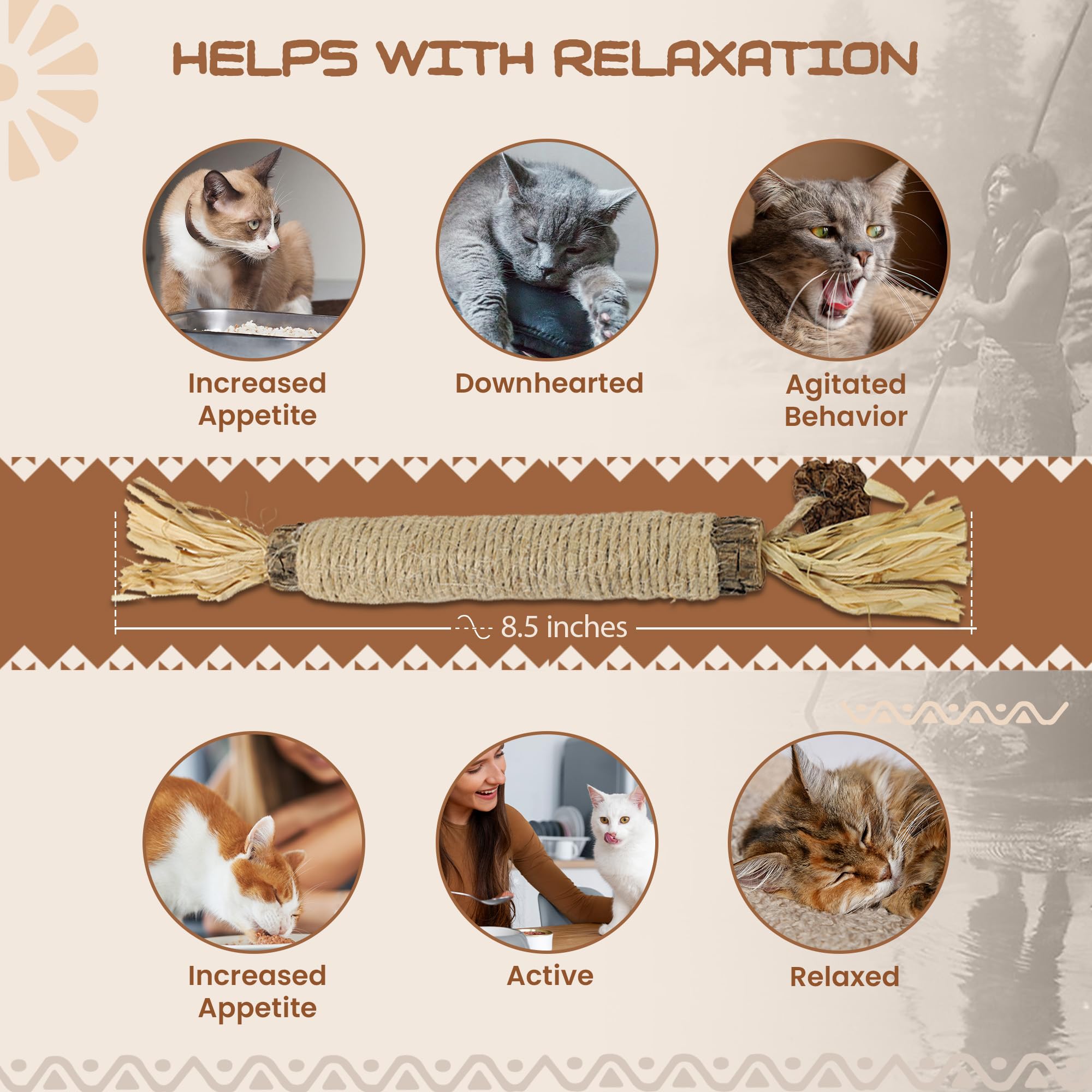 Catnip Silvervine Sticks for Cats | Silver Vine Chew Toy or Cat Chew Stick | Kitten Teething Toys | Cat Dental Chew with Cat Raf