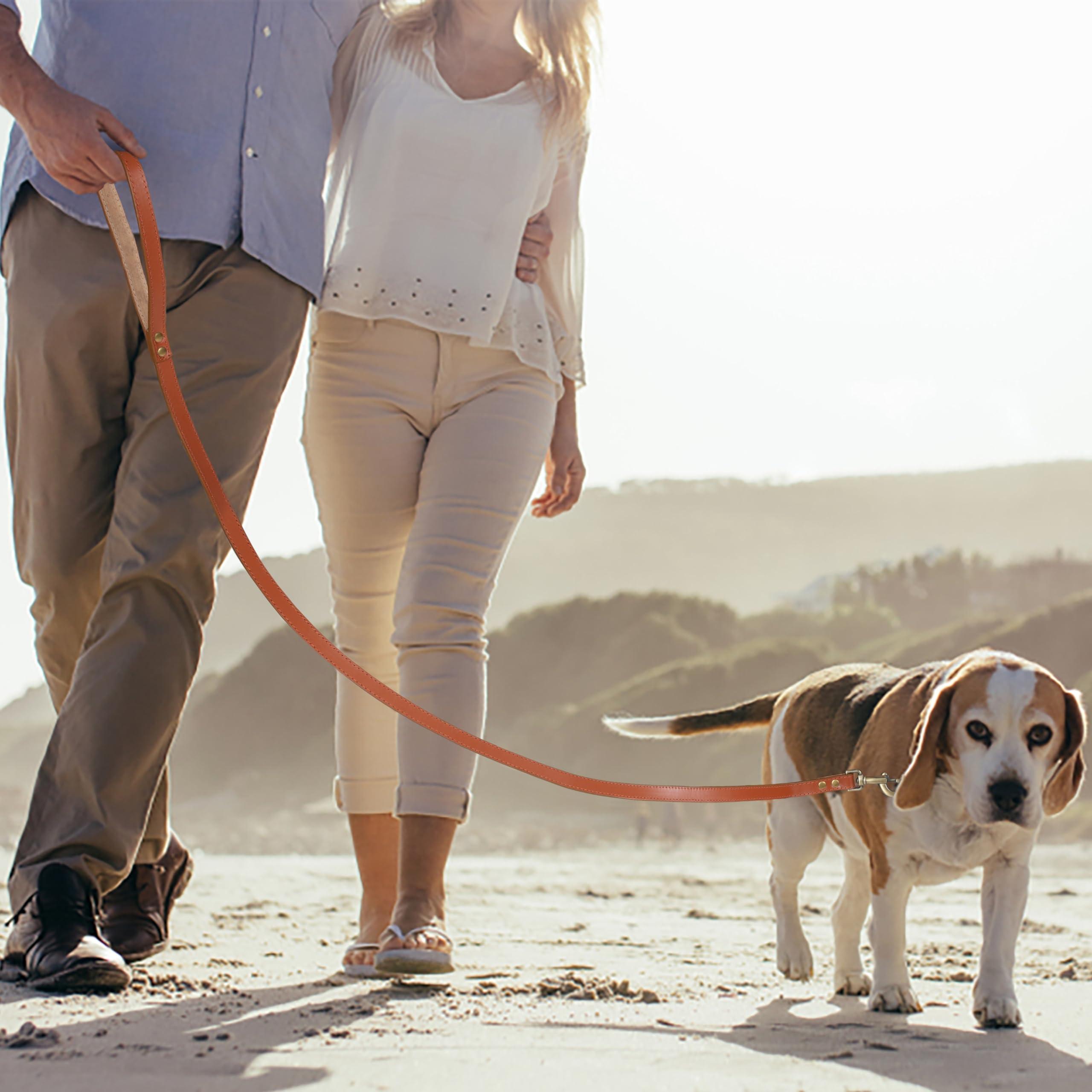 Light & Pro Tan Leather Dog Collar And Leash Set - Soft Handsome Comfirtable Durable Leash And Adjustable Collar Set - 18 Inch C