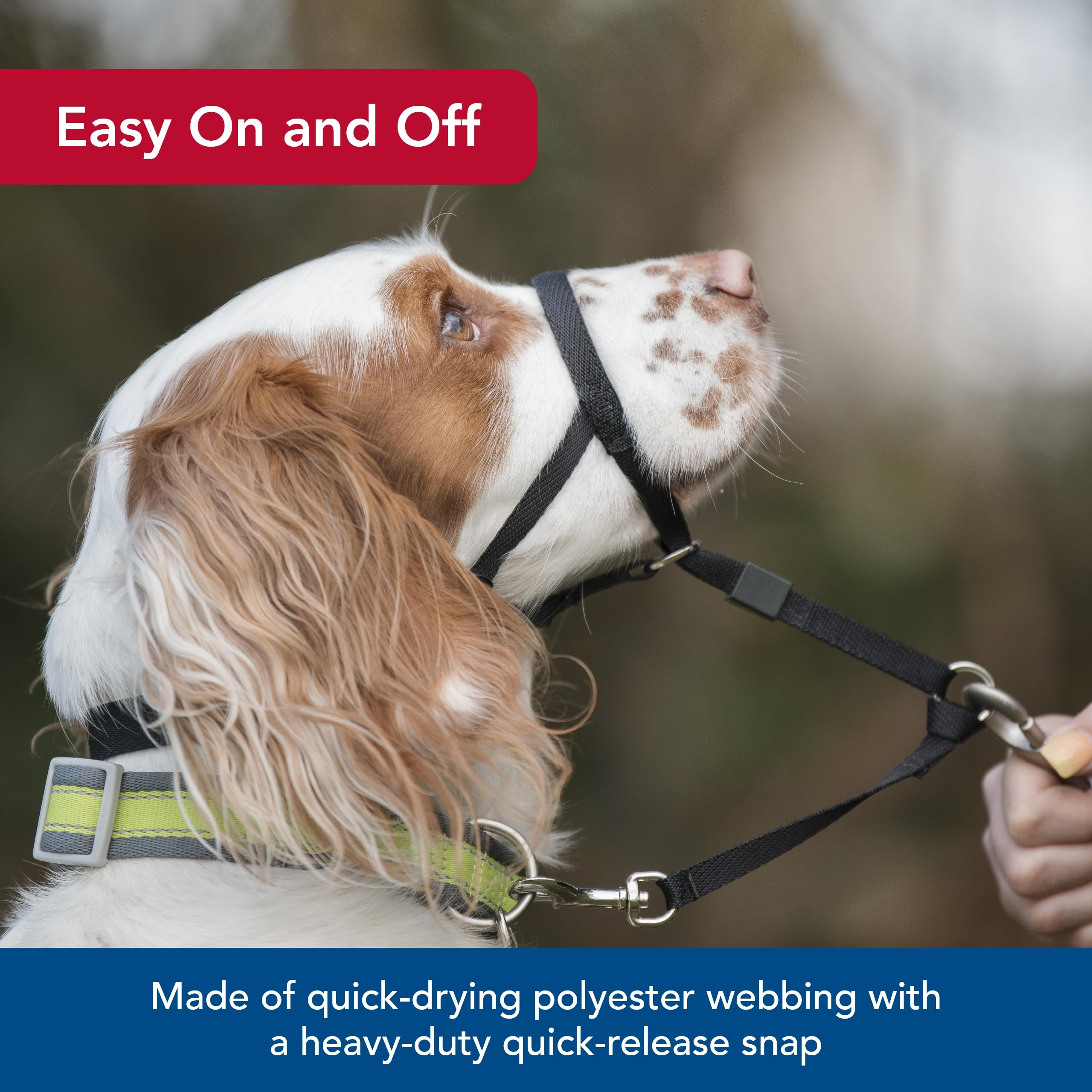 Coastal Pet Walk 'N Train Dog Head Halter - Head Colllar Dog Leader - No-Pull Pet Harness - Quick-Drying Polyester - Black - Medium