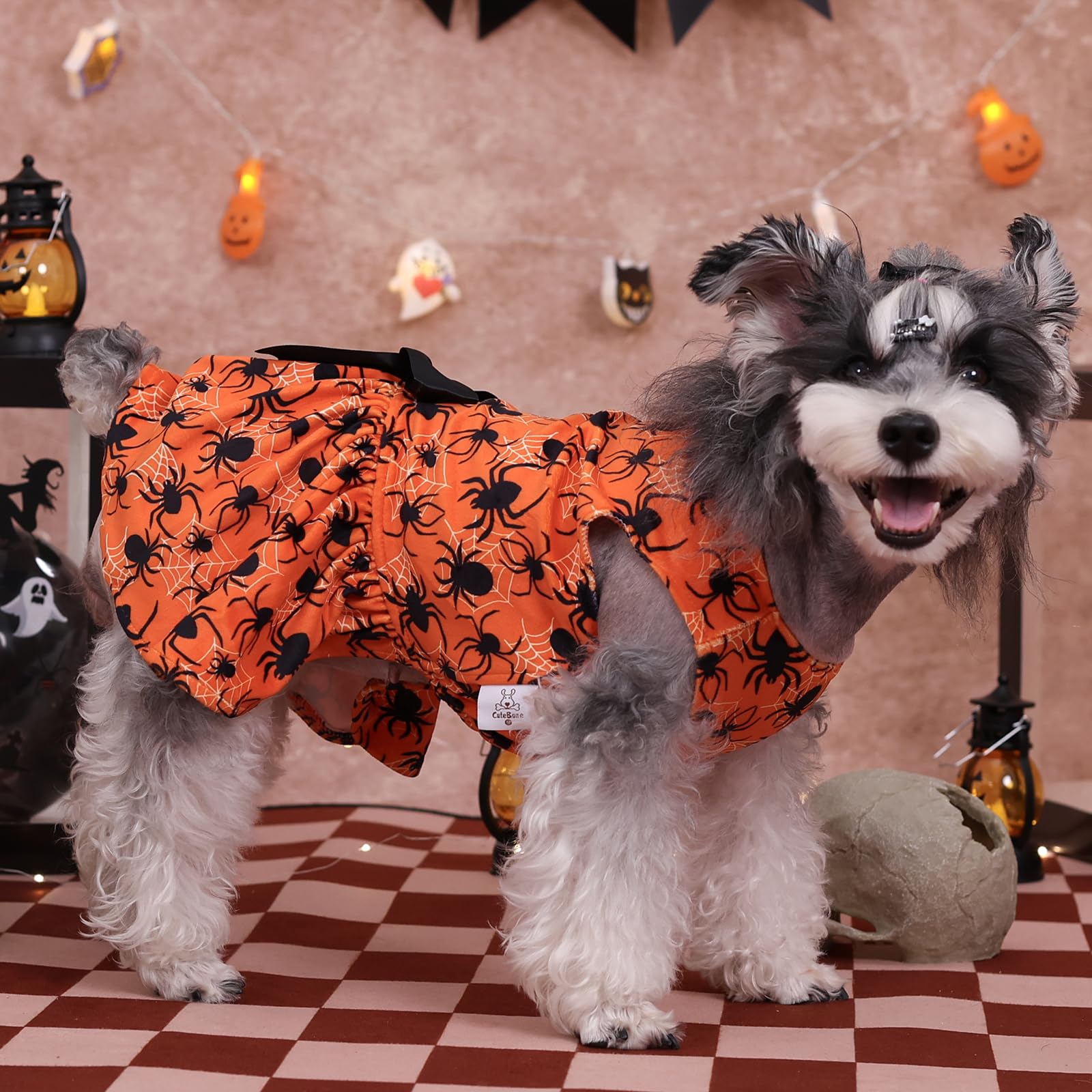 Cutebone Halloween Dog Dresses Velvet Holiday Small Dogs Clothes Onesie Pet Apparel Girl Puppy Skirt With Bow Hair Rope Cva46Xs