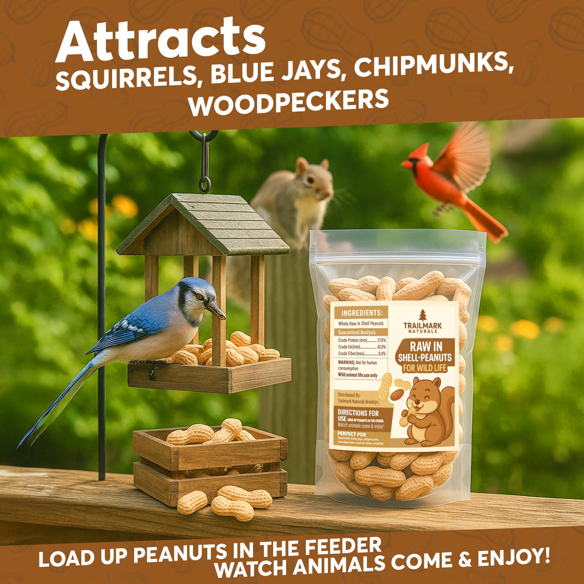 Trailmark Naturals - 8 LB - Raw Peanuts For Squirrels, Raw In Shell Peanuts For Birds and Wildlife- Squirrel Food, Wild Bird See