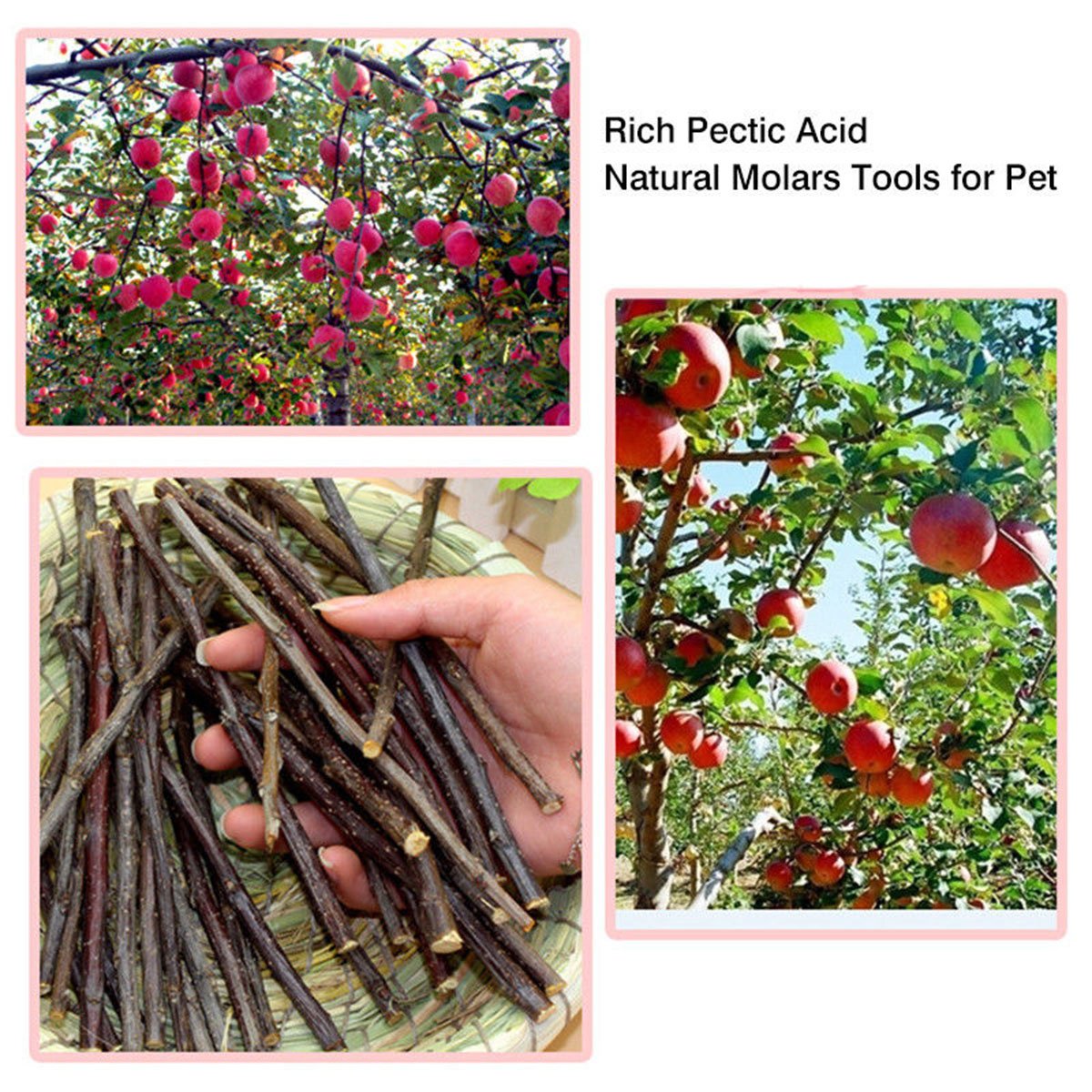 Organic Apple Sticks for Rabbits Wood Tree Branches Pet Snacks Chew Toys Branch for Guinea Pigs Chinchilla Squirrel Bunny Hamste