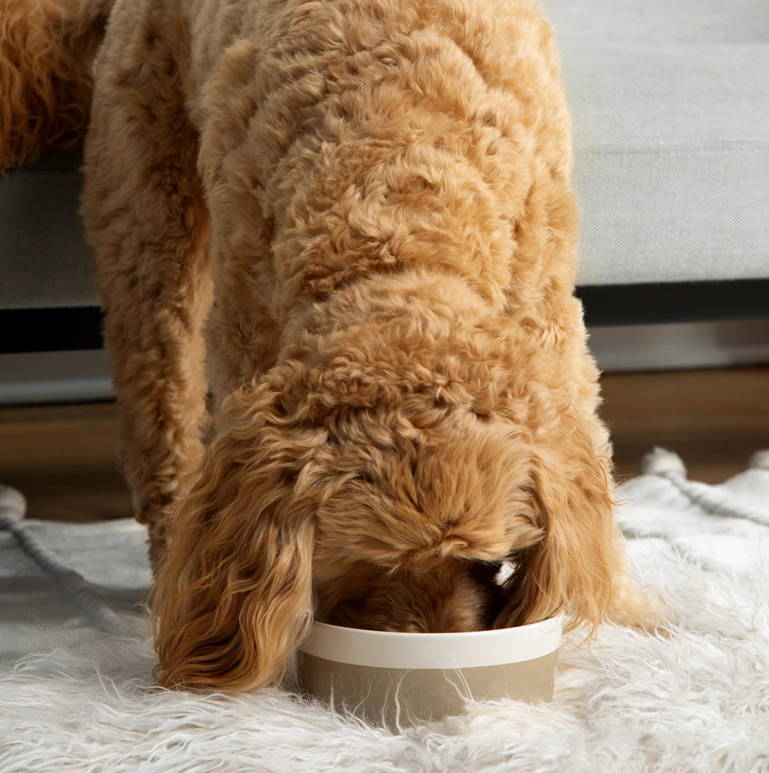 Waggo Dipper Ceramic Dog Bowl for Small and Large Breeds - Heavyweight and Durable Pet Food and Water Dish Crock, Dishwasher Saf