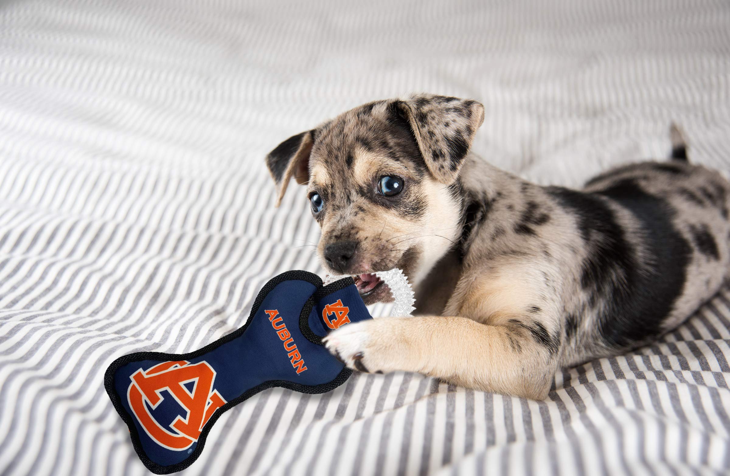 Pets First Ncaa Auburn Tigers Dental Dog Tug Toy With Squeaker. Tough Pet Toy For Healthy Fun, Teething & Cleaning Pets Teeth &