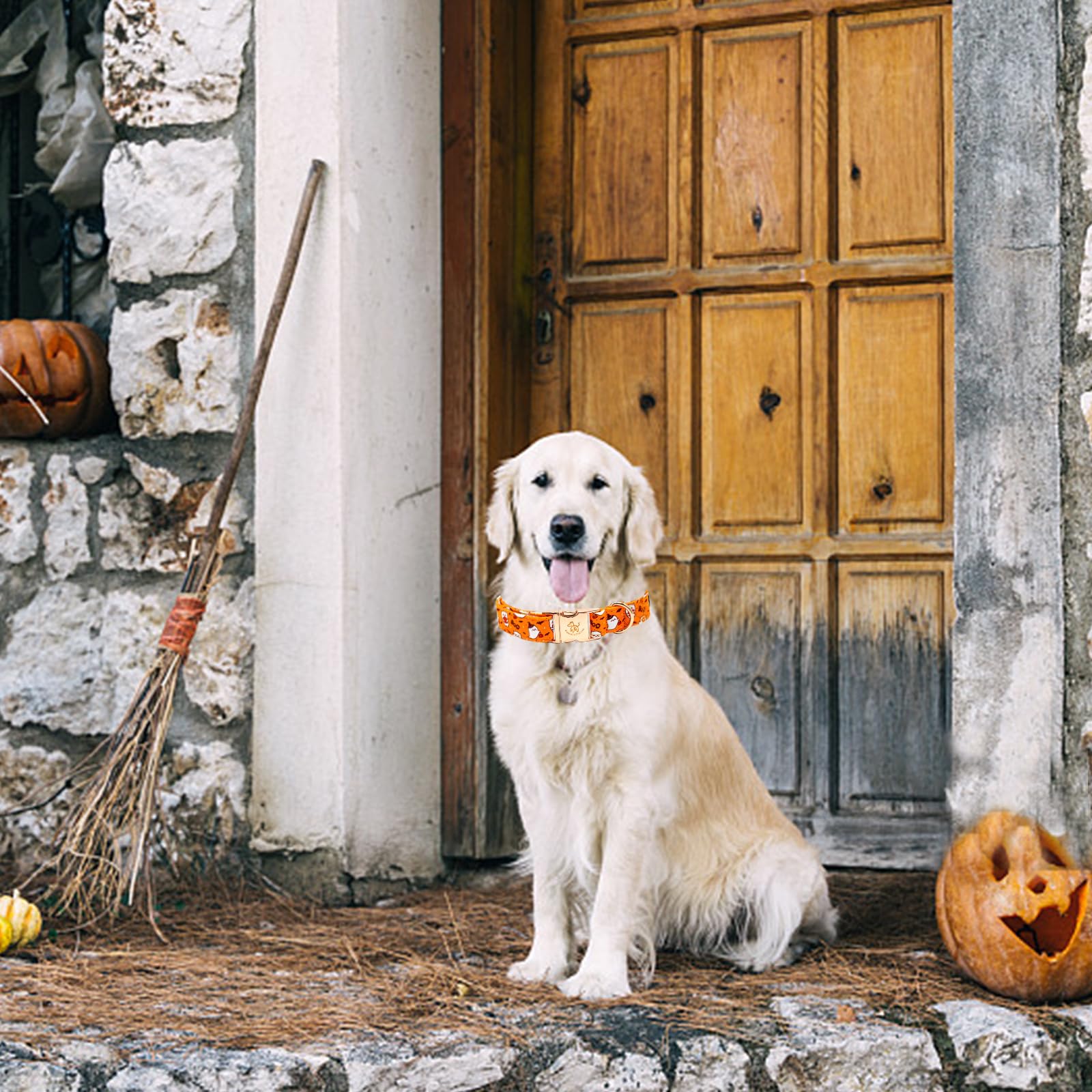 Elegant Little Tail Halloween Dog Collar - Cute Ghosts Print, Cotton With Metal Buckle, Adjustable For X-Large Dogs