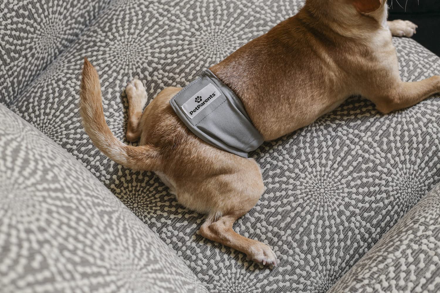 Pet Parents Premium Washable Belly Bands For Male Dogs & Extendrs, (3Pack) Of Male Dog Diapers & Male Dog Belly Bands, Color: Natural, Size: Medium Dog Diapers Male