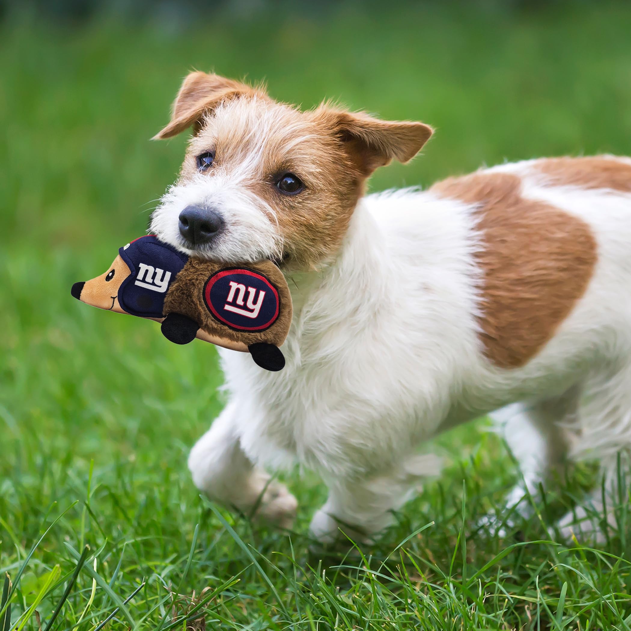 Nfl New York Giants Plush Hedgehog Toy For Dogs & Cats, Cool Soft Pet Toy For Fun And Interactive Play, Dog Chew Toy With Squeak