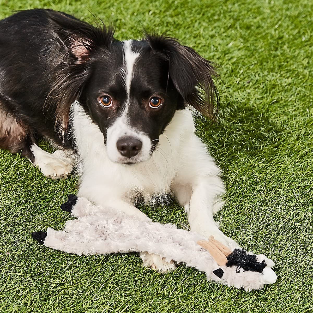 Spot Skinneeez Crinklers | Stuffless Dog Toys With Squeaker For Small Dogs | Crinkle Toy For Small Puppies | 14'' | Goat Design