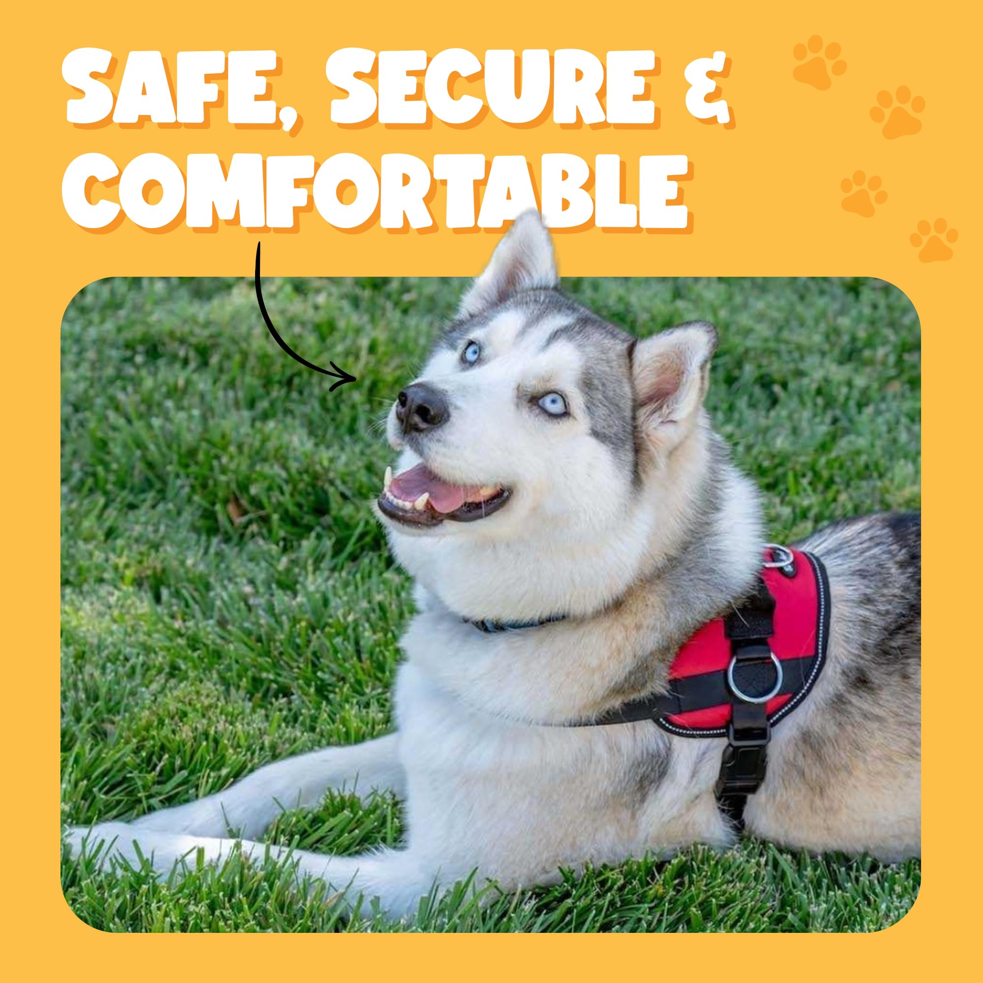 Bark Appeal Blue No-Pull Dog Harness for Large to Extra Large Sized Pets - Adjustable, Reflective Vest with 3 Leash Clips for Ad