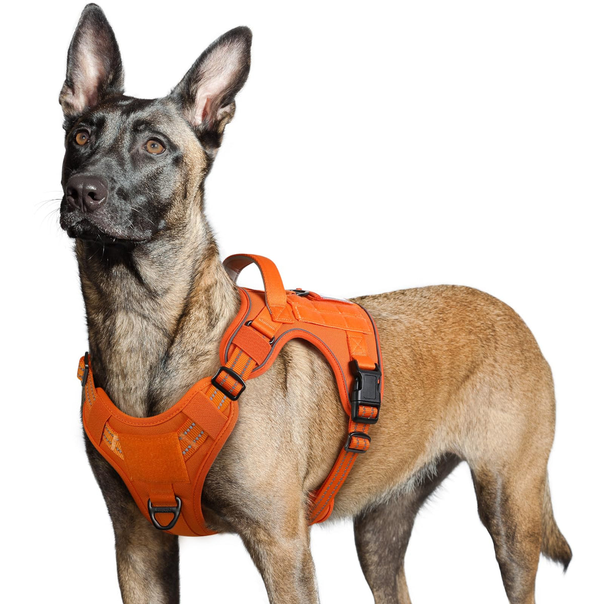 Rabbitgoo Tactical Dog Harness For Large Dogs, No Pull Military Dog Harness With Handle & Molle, Easy Control Service Dog Vest Training Walking, Adjustable Reflective Tactical Pet Harness, Orange, L