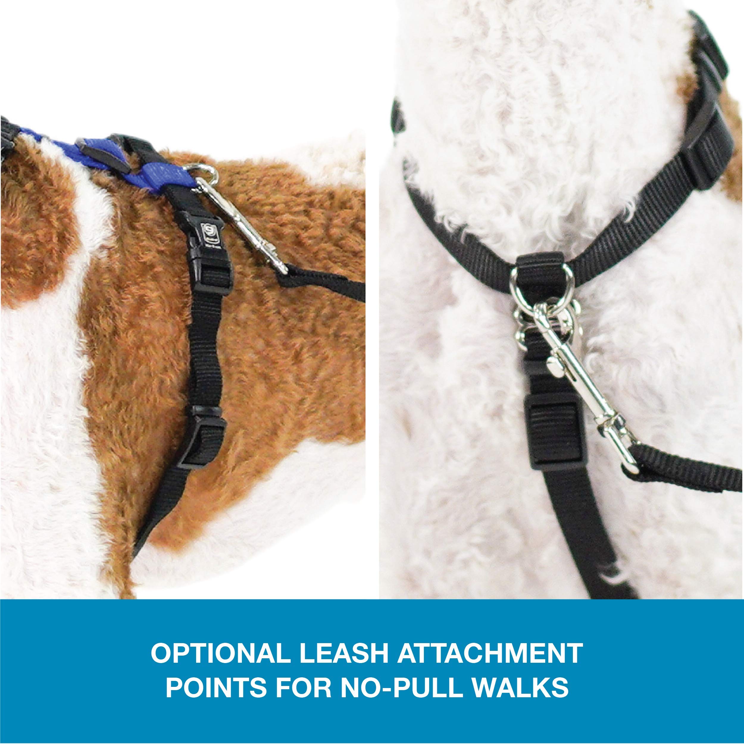 Blue-9 Pet Products No-Pull Balance Harness And Loose Leash Walking Set Dogs, Made In The Usa, Blue, Large