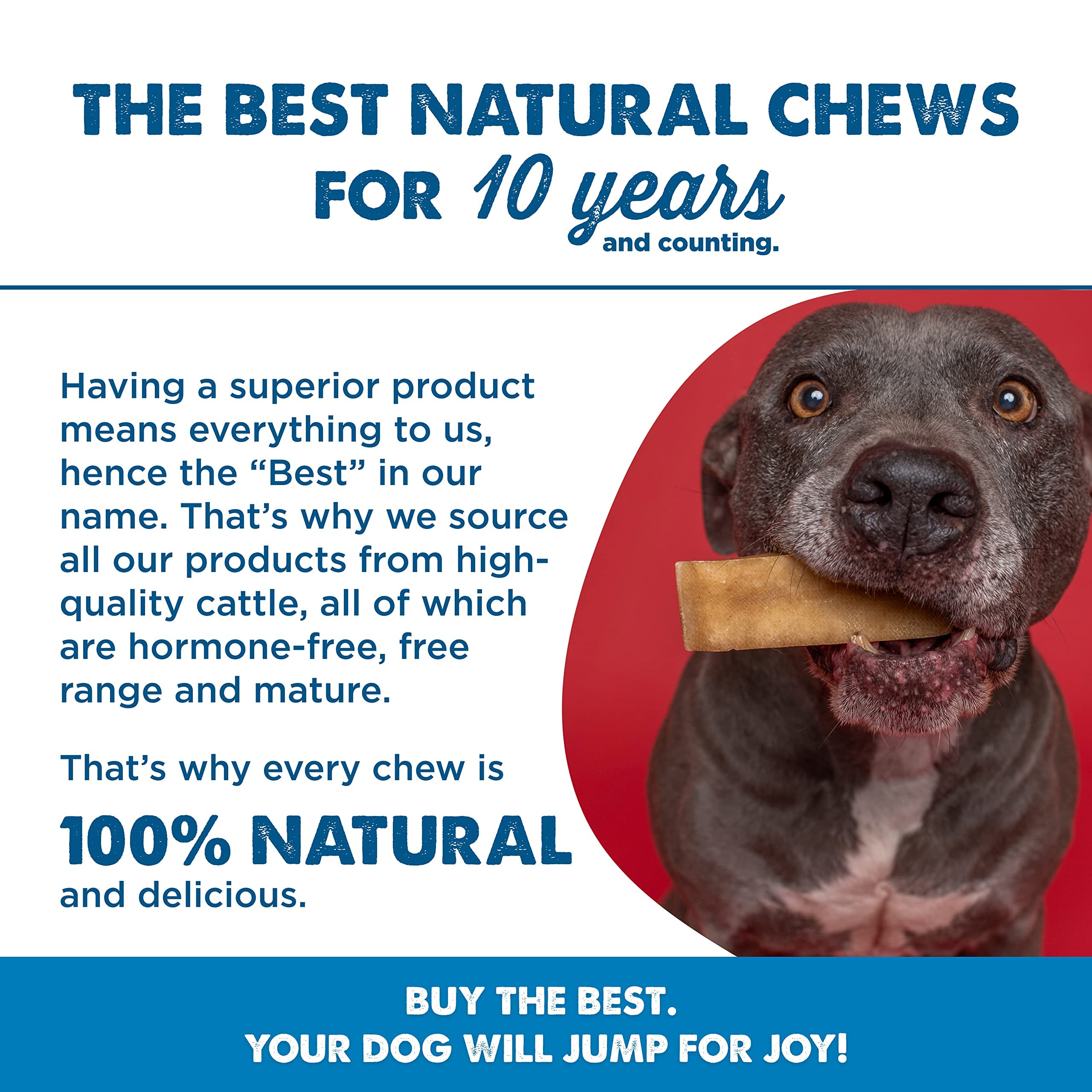Best Bully Sticks Himalayan Yak Cheese for Dogs - Medium 4 Count (Pack of 1) - Natural, No Lactose, Odor Free, Long-Lasting Snac